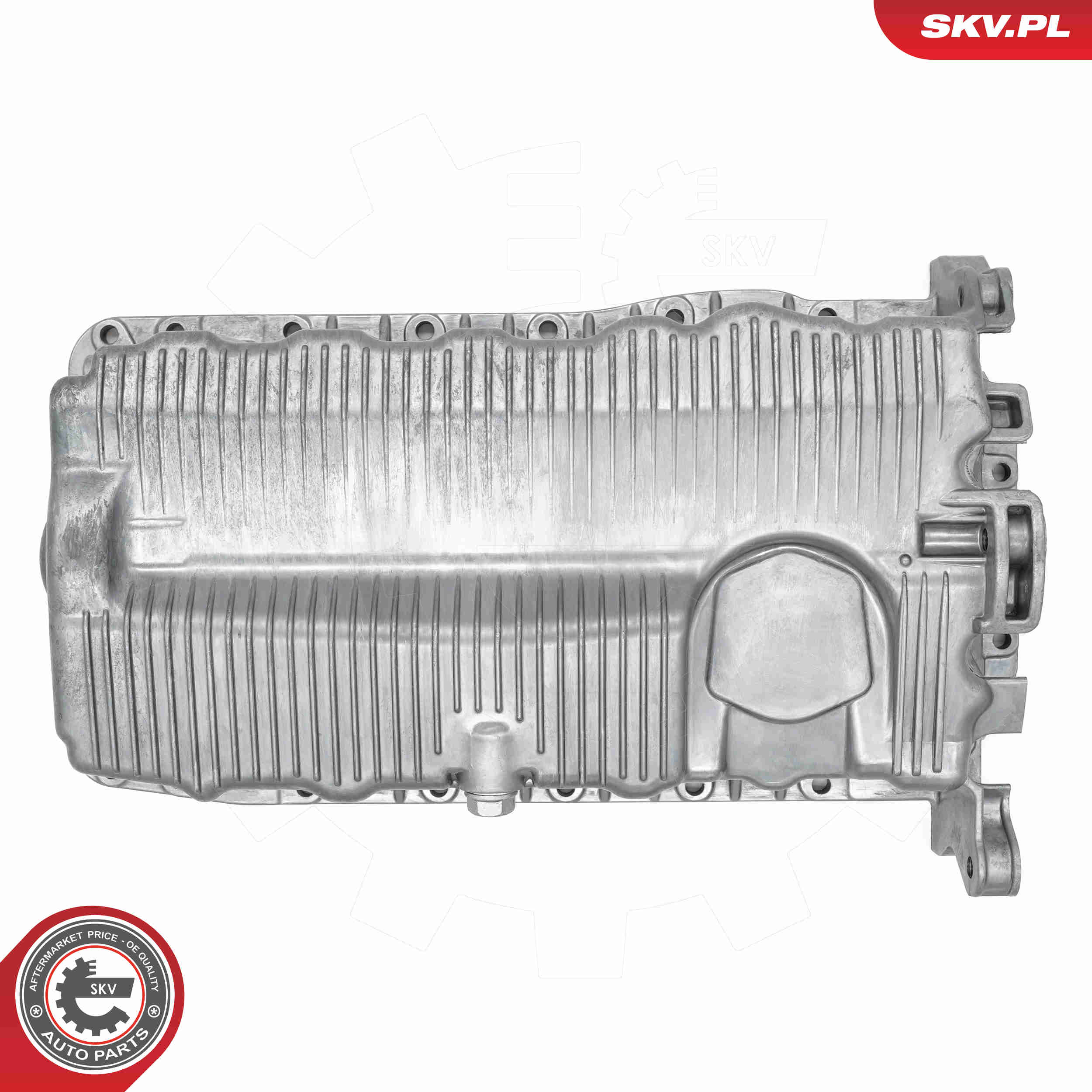 alyvos karteris - 48SKV874 ESEN SKV