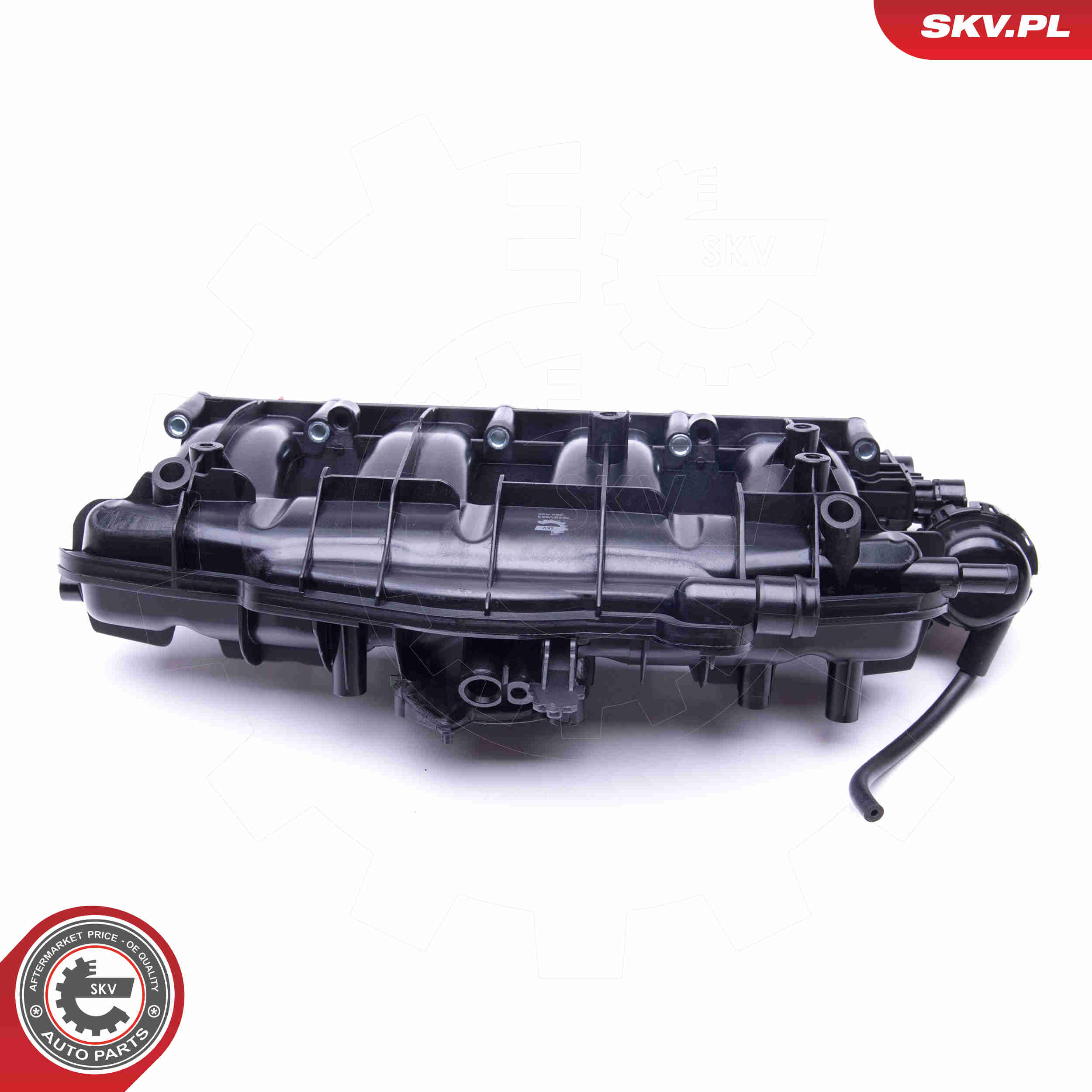 Intake Manifold Module - 49SKV003 ESEN SKV