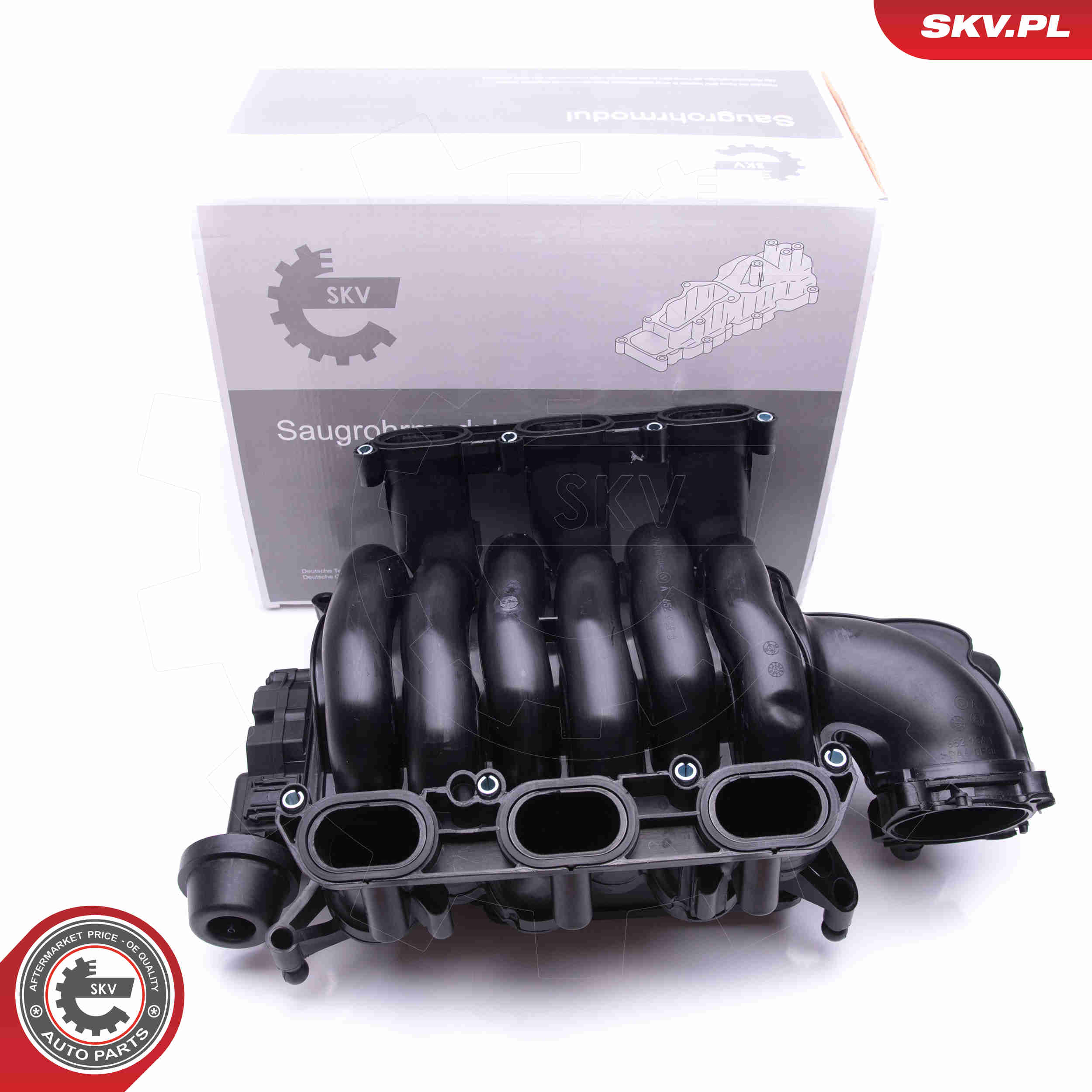 Intake Manifold Module - 49SKV004 ESEN SKV