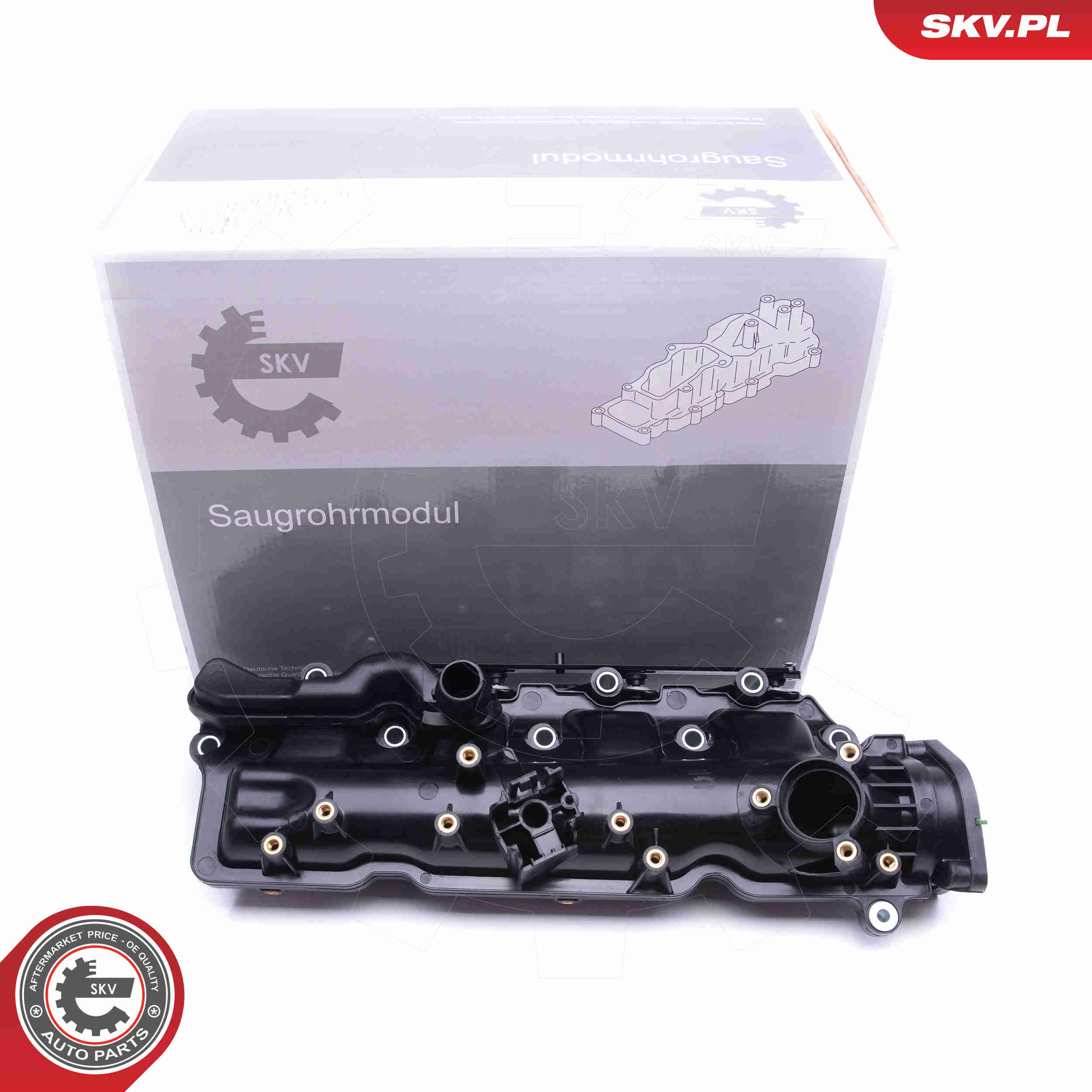 Intake Manifold Module - 49SKV005 ESEN SKV