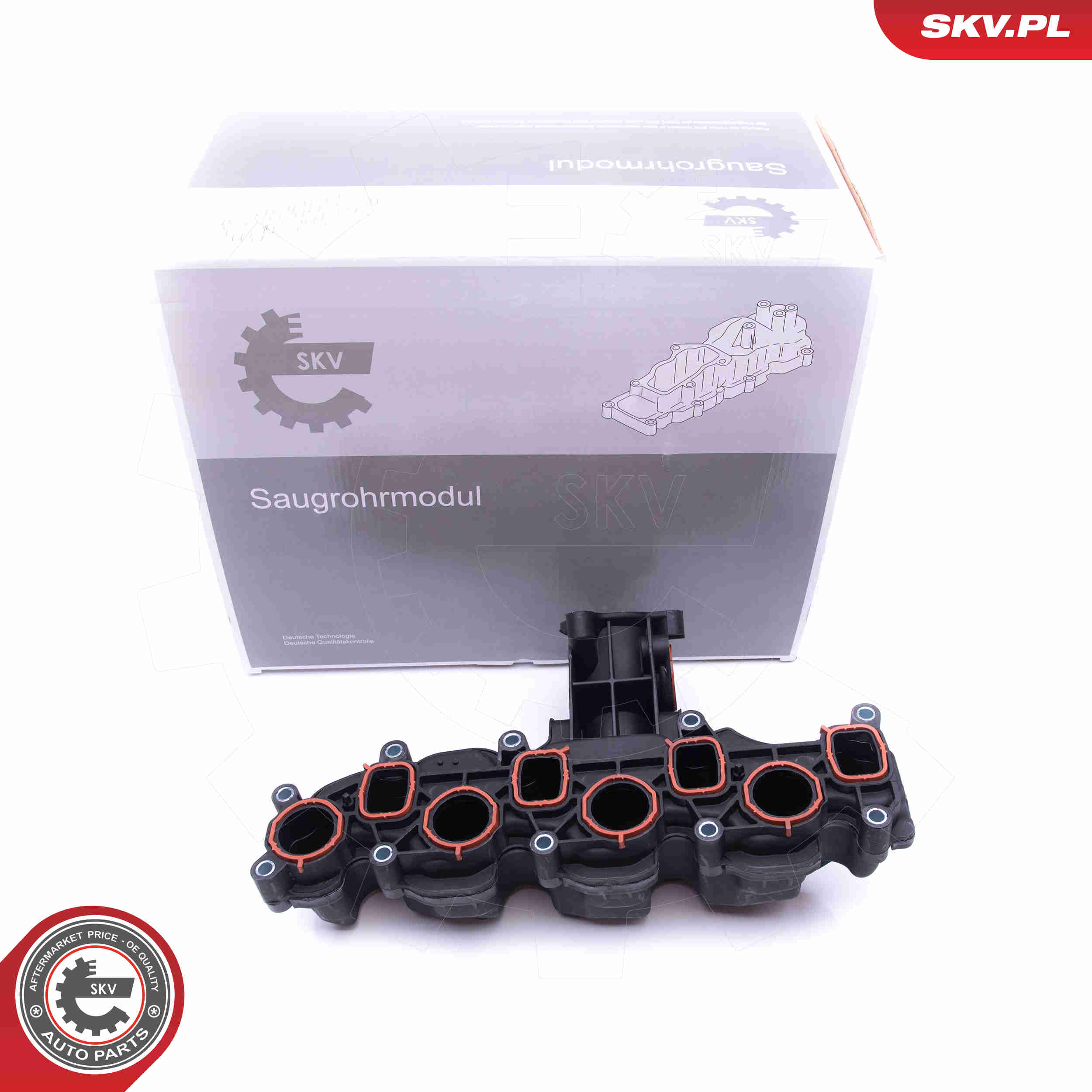 Intake Manifold Module - 49SKV008 ESEN SKV