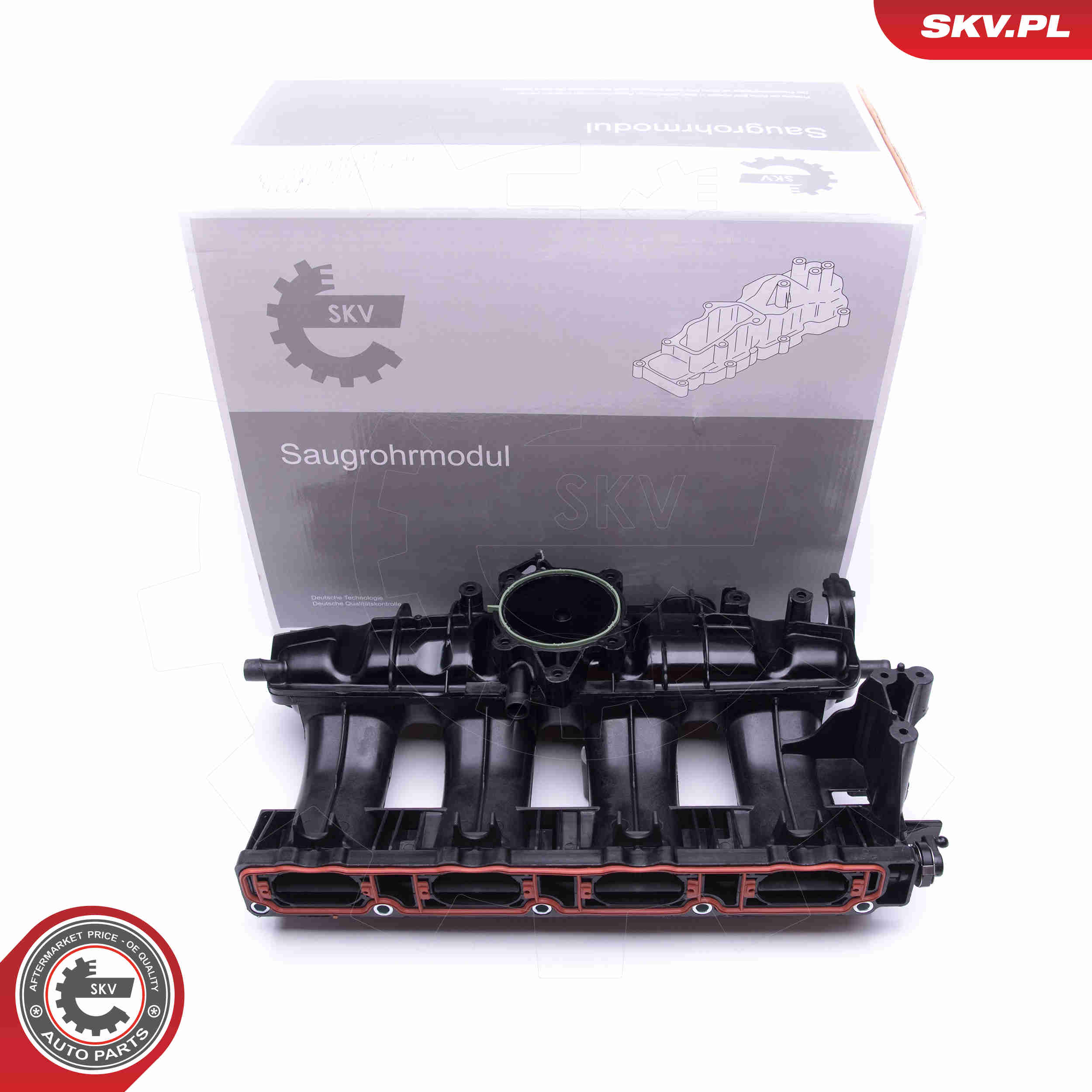 Intake Manifold Module - 49SKV009 ESEN SKV
