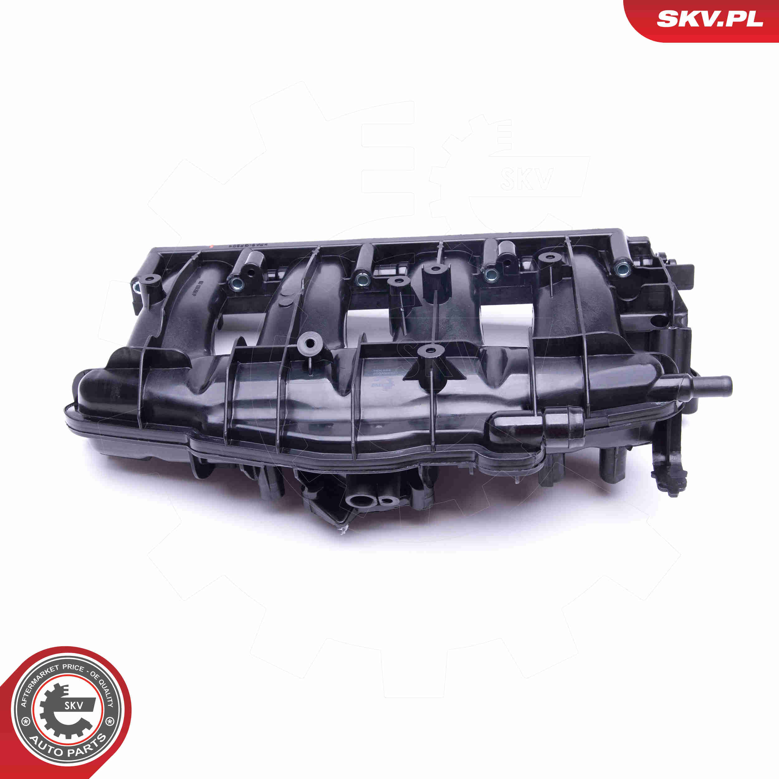 Intake Manifold Module - 49SKV009 ESEN SKV