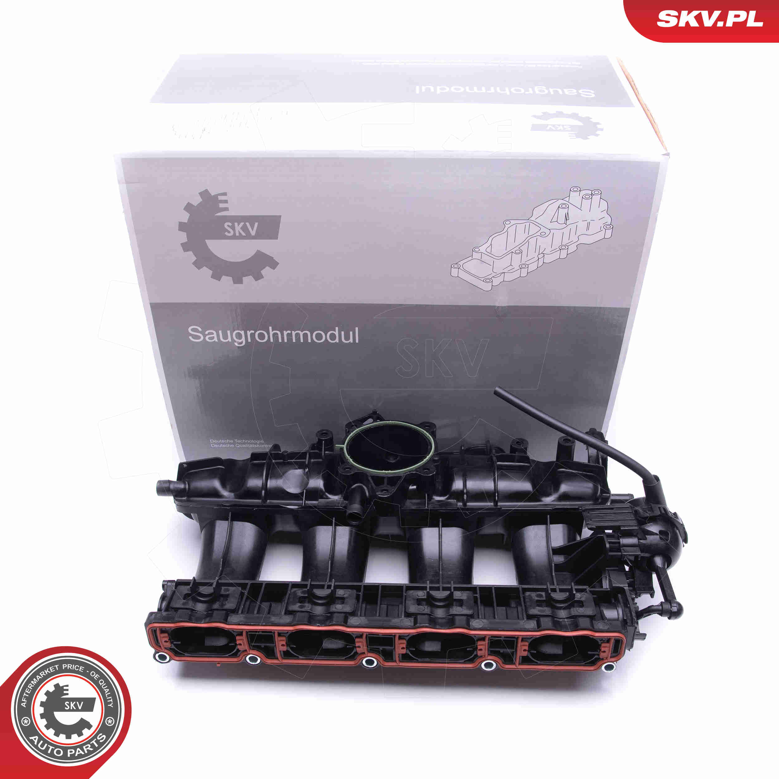 Intake Manifold Module - 49SKV010 ESEN SKV