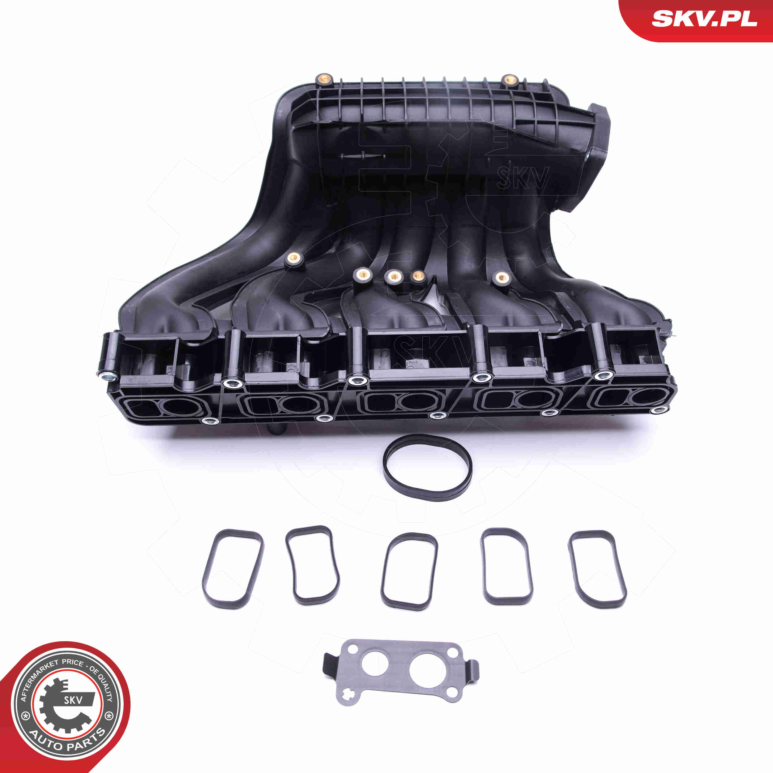 Intake Manifold Module - 49SKV012 ESEN SKV