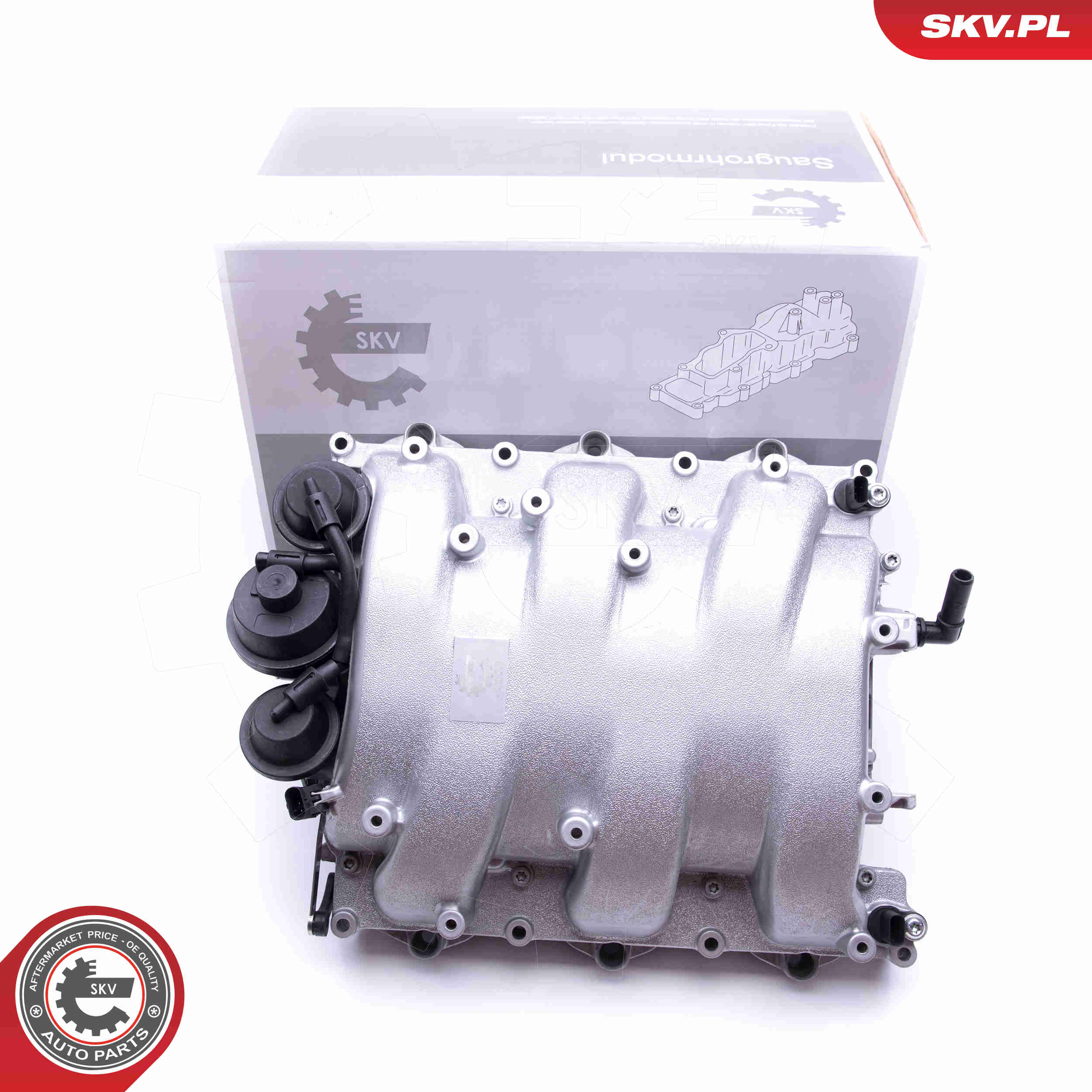 Intake Manifold Module - 49SKV013 ESEN SKV