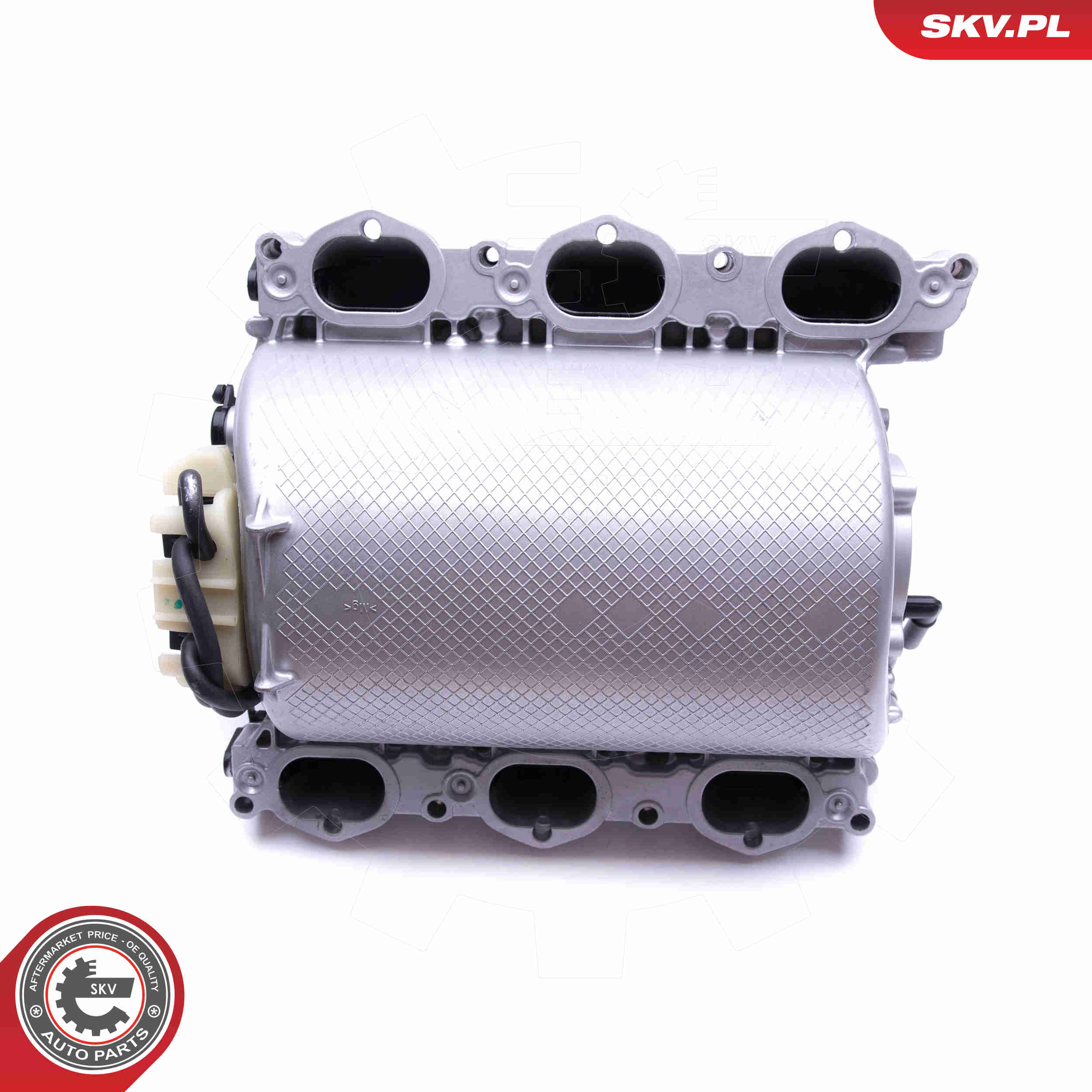 Intake Manifold Module - 49SKV013 ESEN SKV