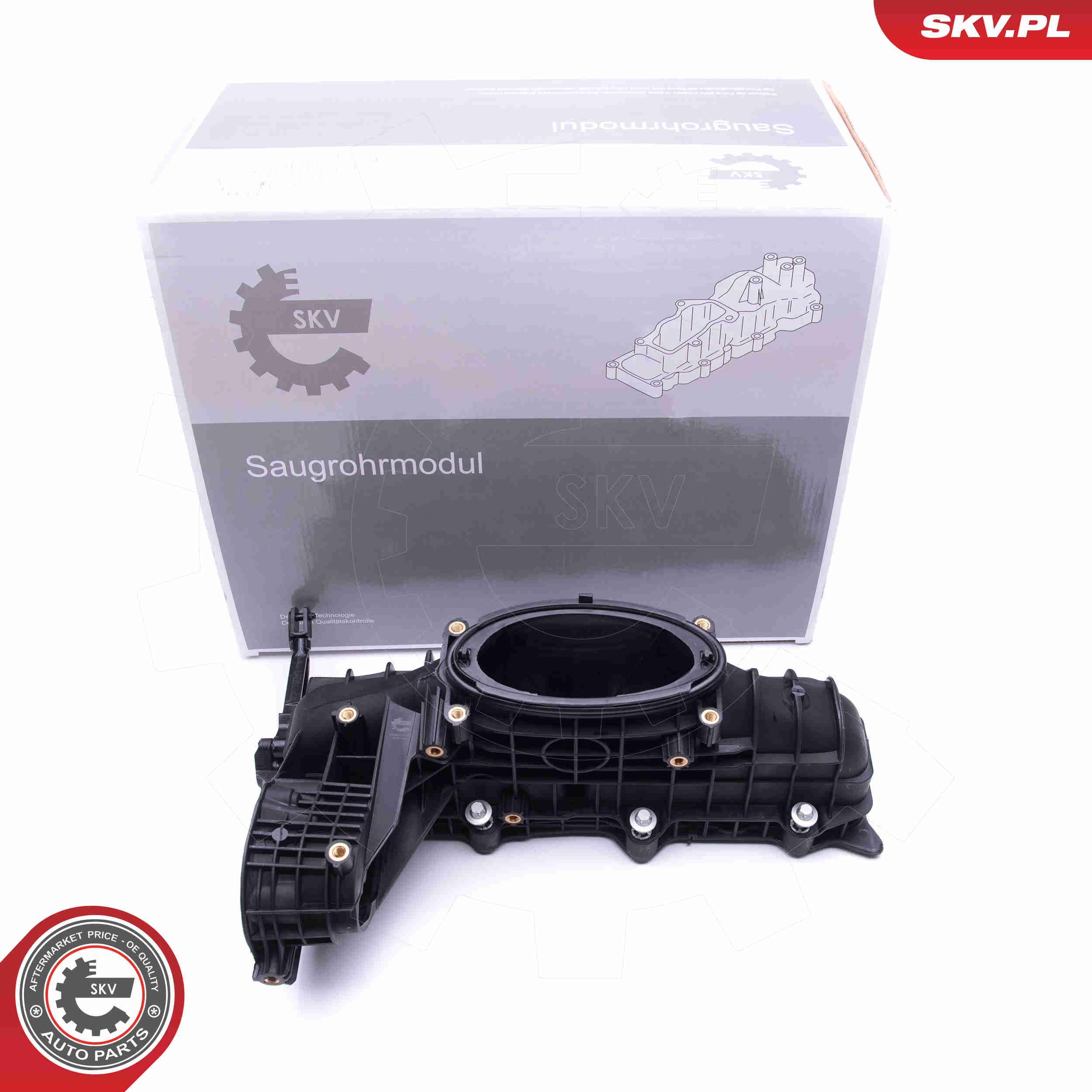 Intake Manifold Module - 49SKV014 ESEN SKV