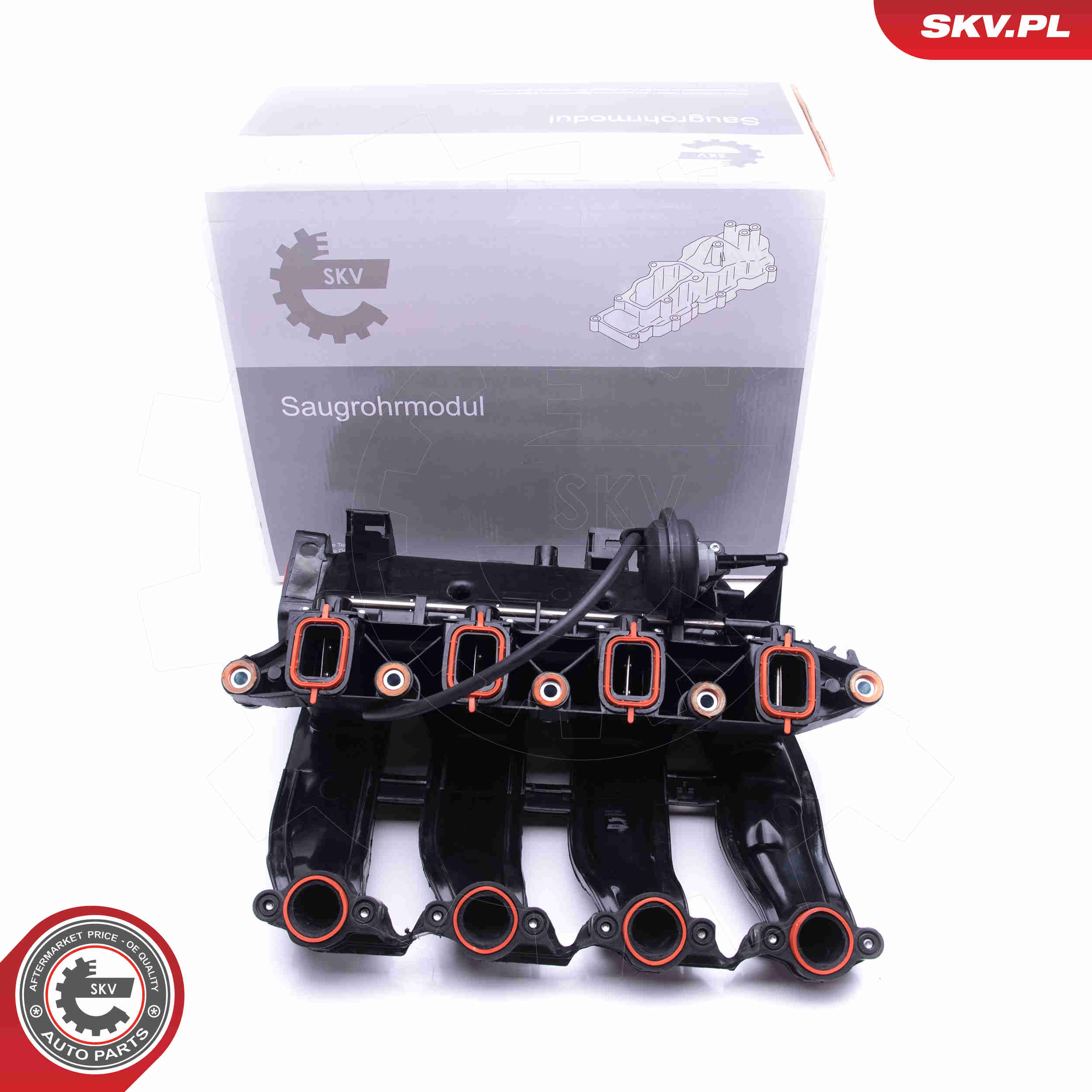 Intake Manifold Module - 49SKV017 ESEN SKV