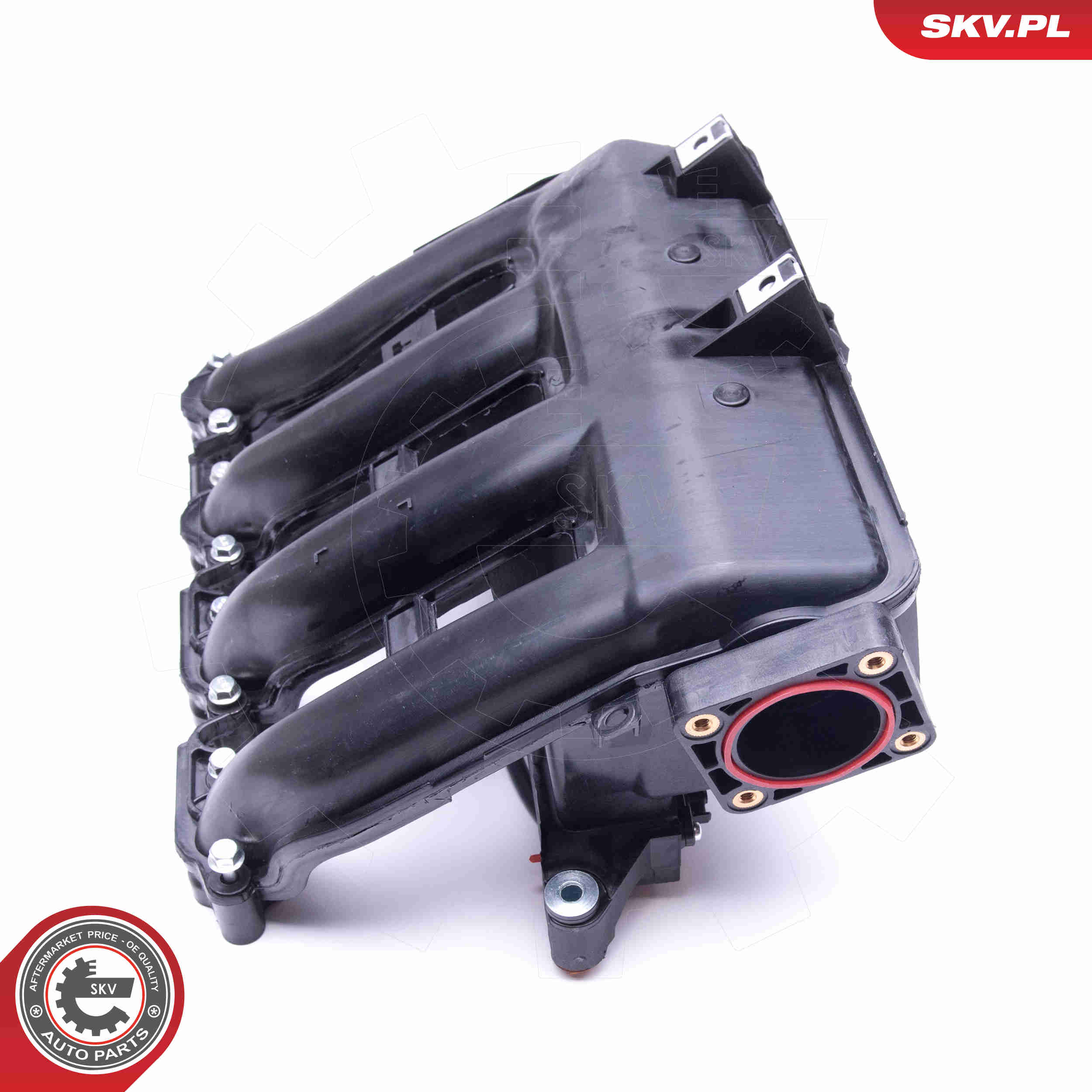 Intake Manifold Module - 49SKV017 ESEN SKV