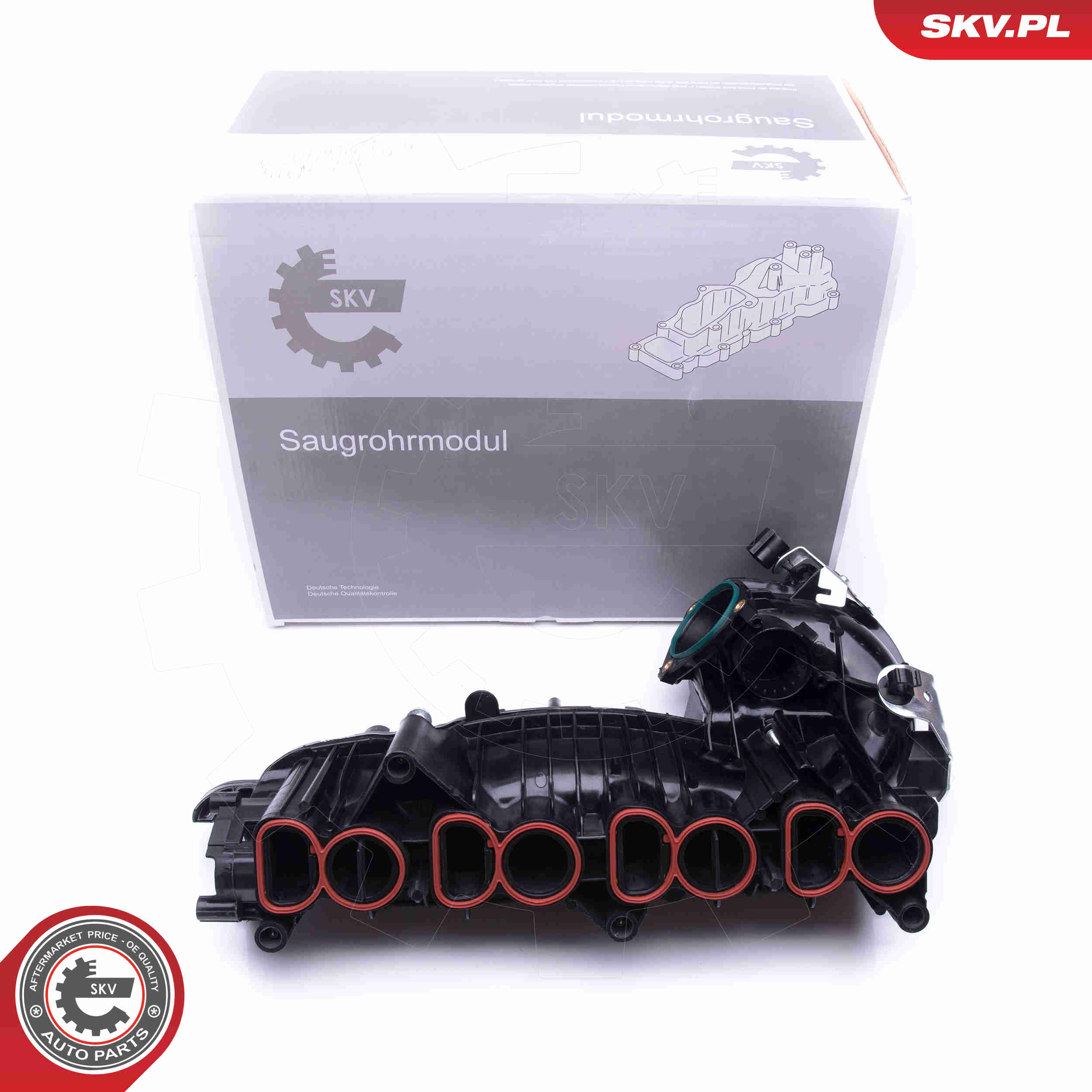 Intake Manifold Module - 49SKV018 ESEN SKV