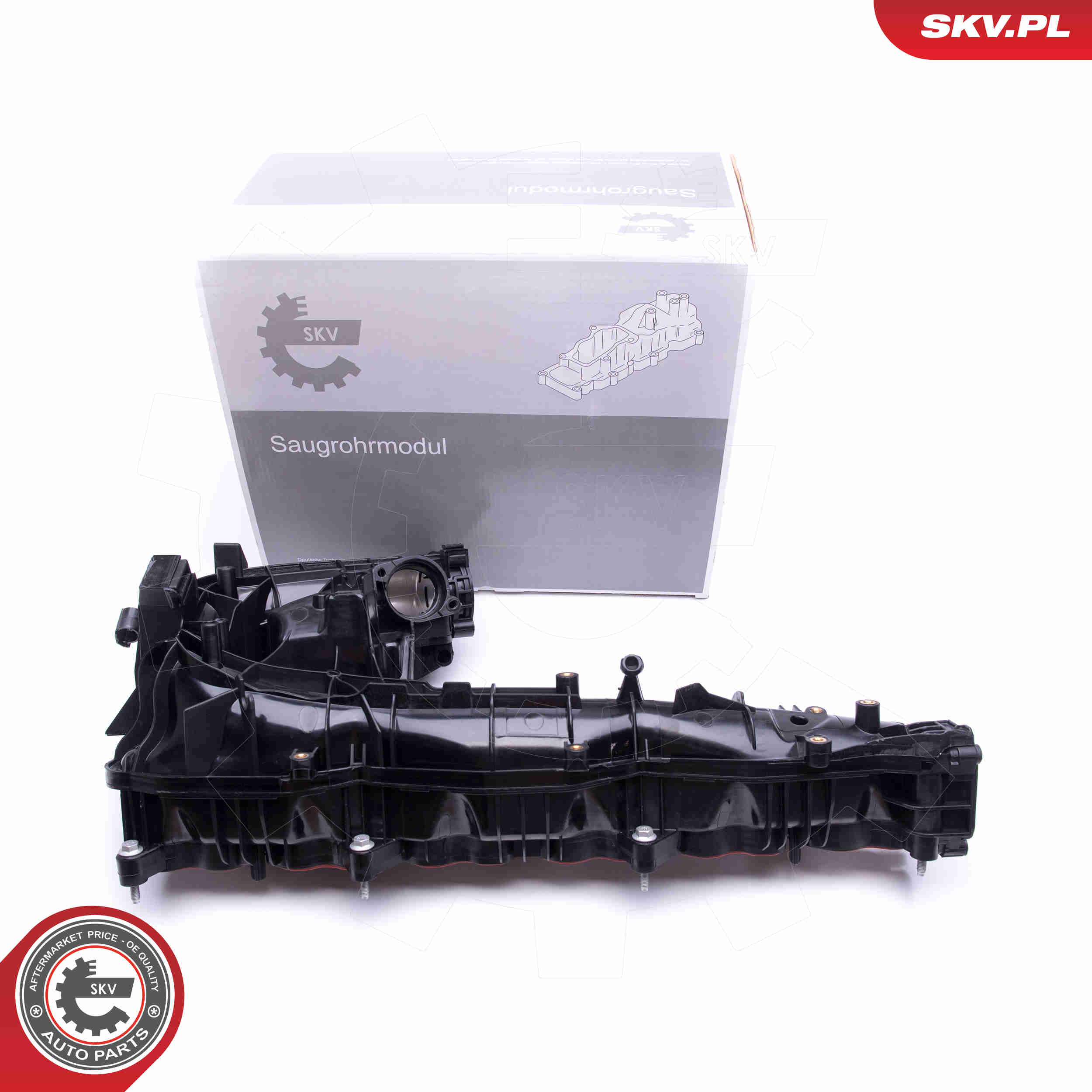 Intake Manifold Module - 49SKV019 ESEN SKV