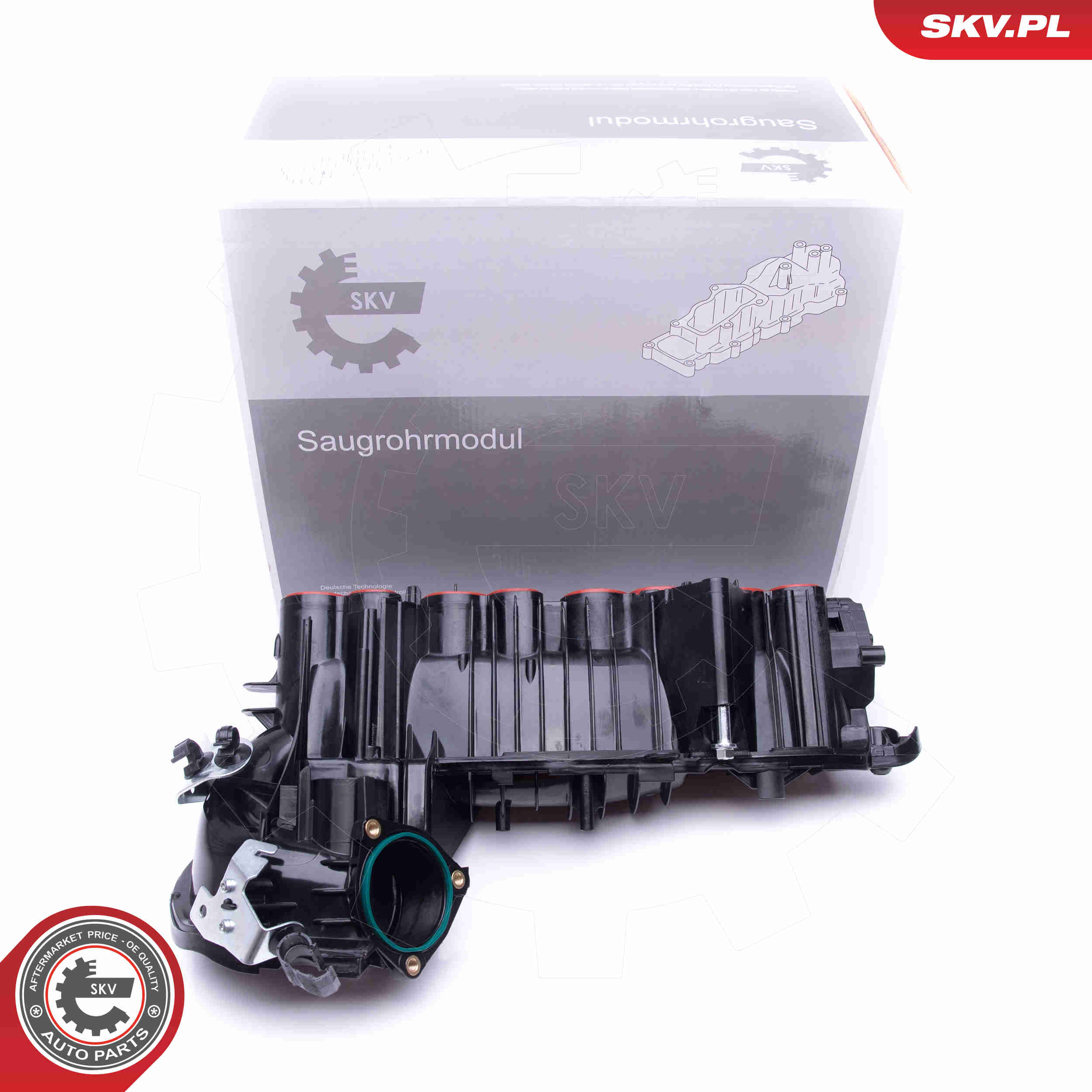 Intake Manifold Module - 49SKV020 ESEN SKV