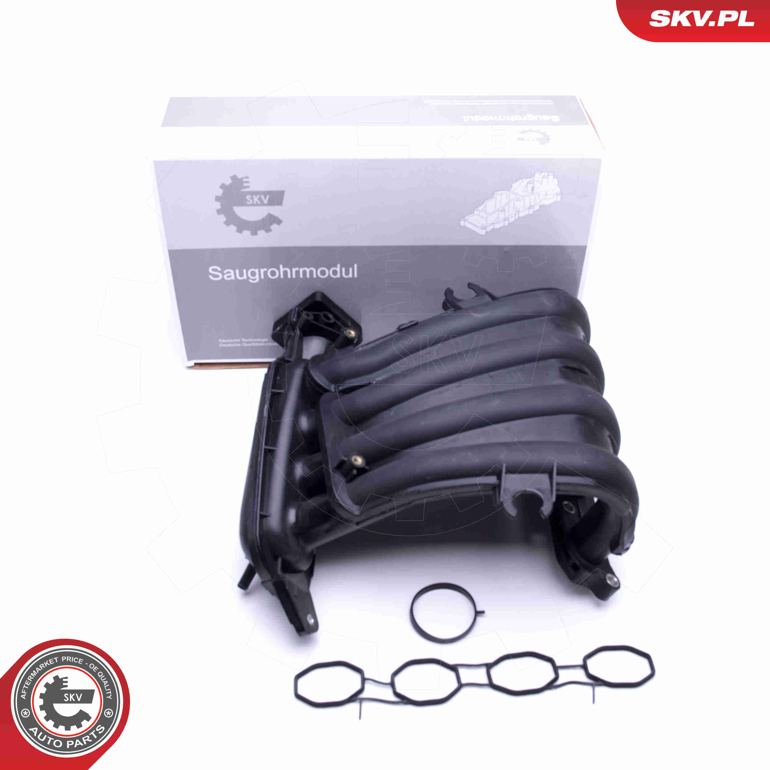 Intake Manifold Module - 49SKV023 ESEN SKV