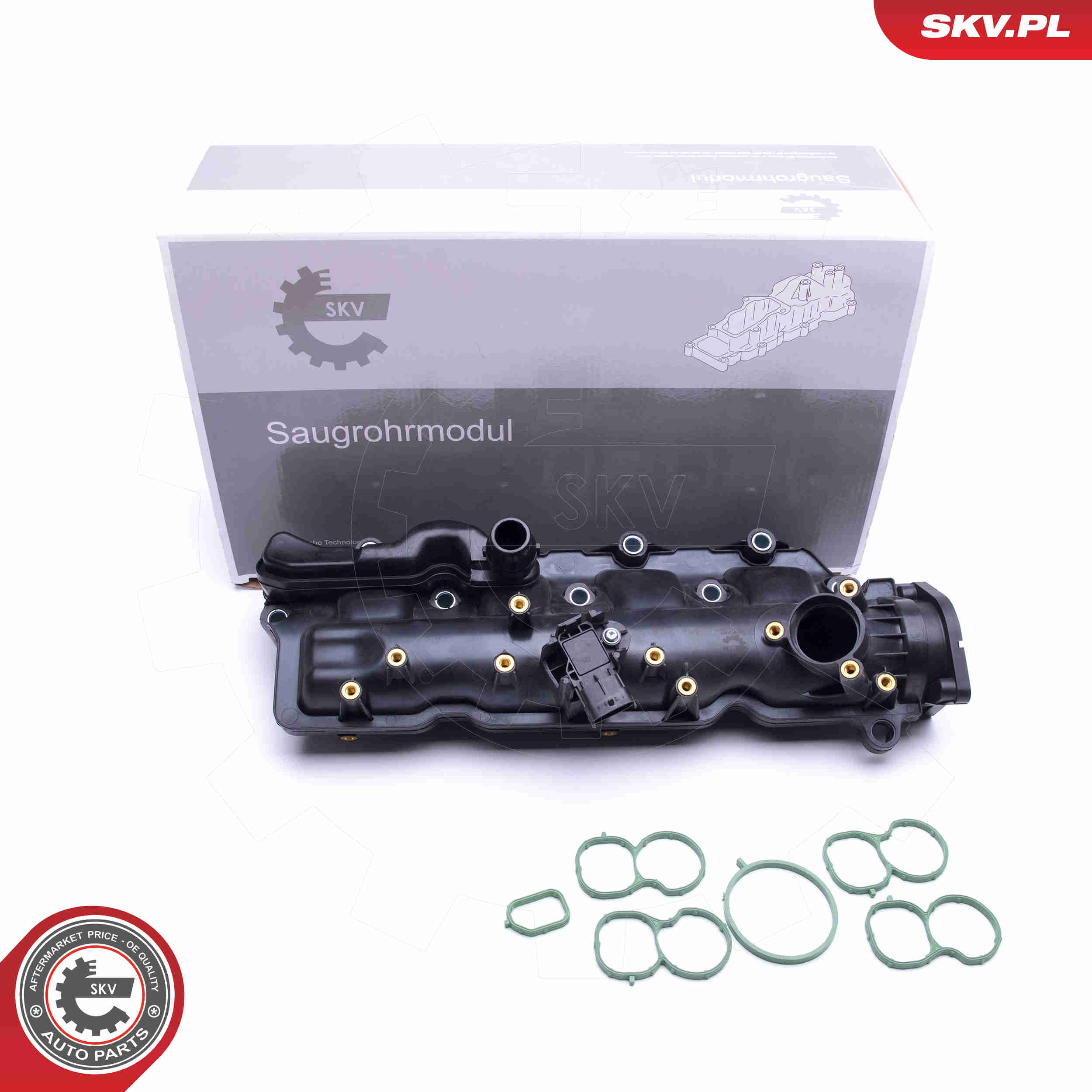 Intake Manifold Module - 49SKV024 ESEN SKV