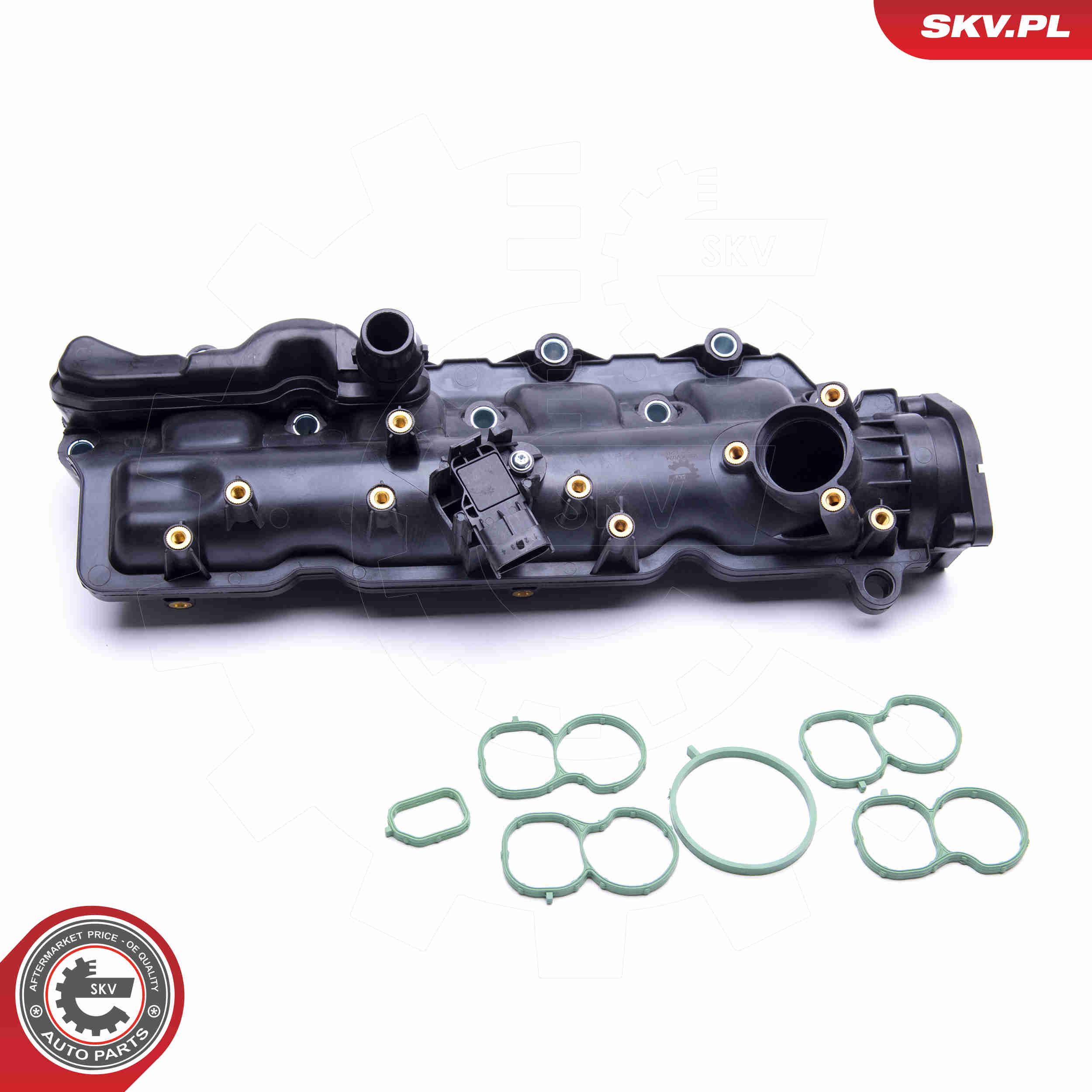 Intake Manifold Module - 49SKV024 ESEN SKV