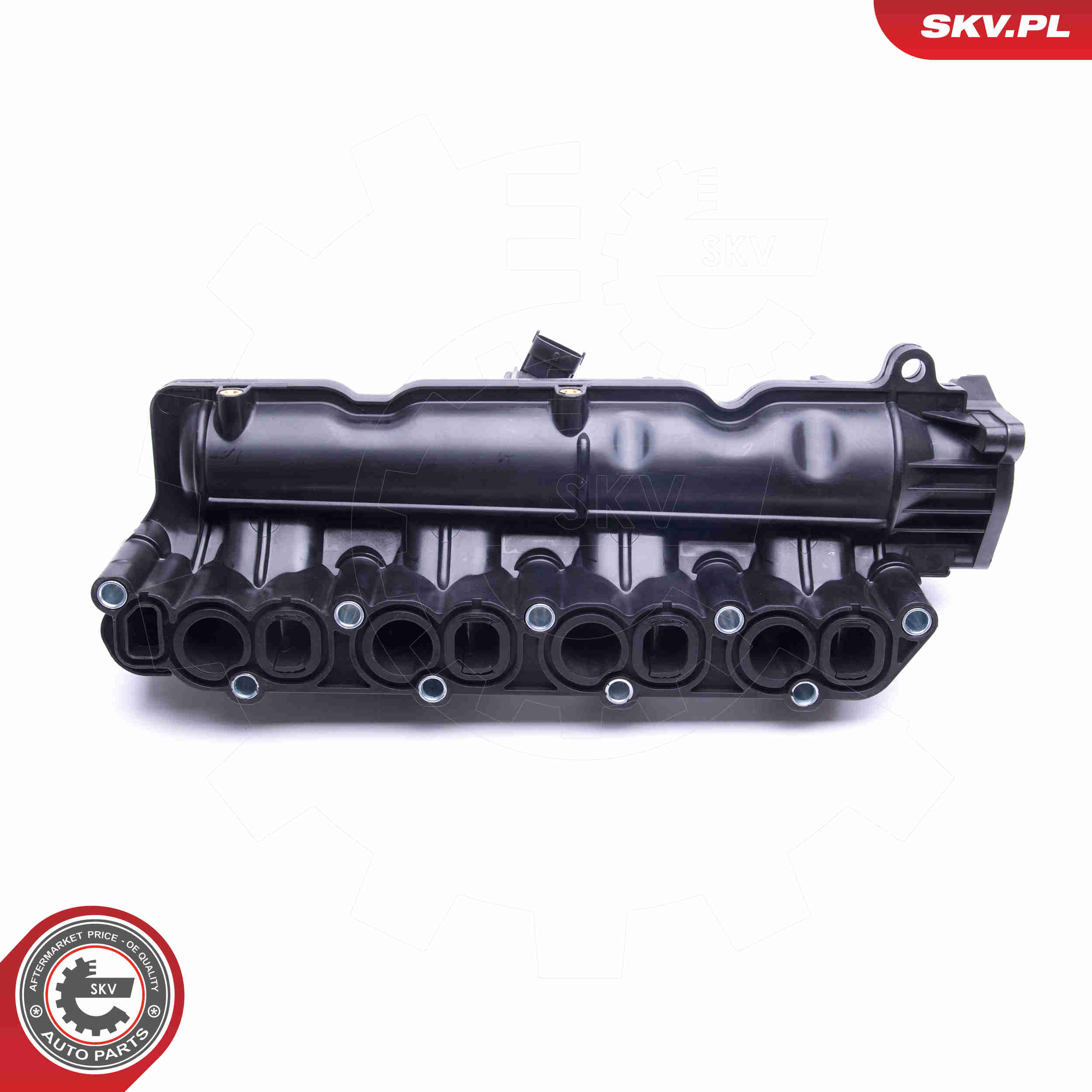 Intake Manifold Module - 49SKV024 ESEN SKV