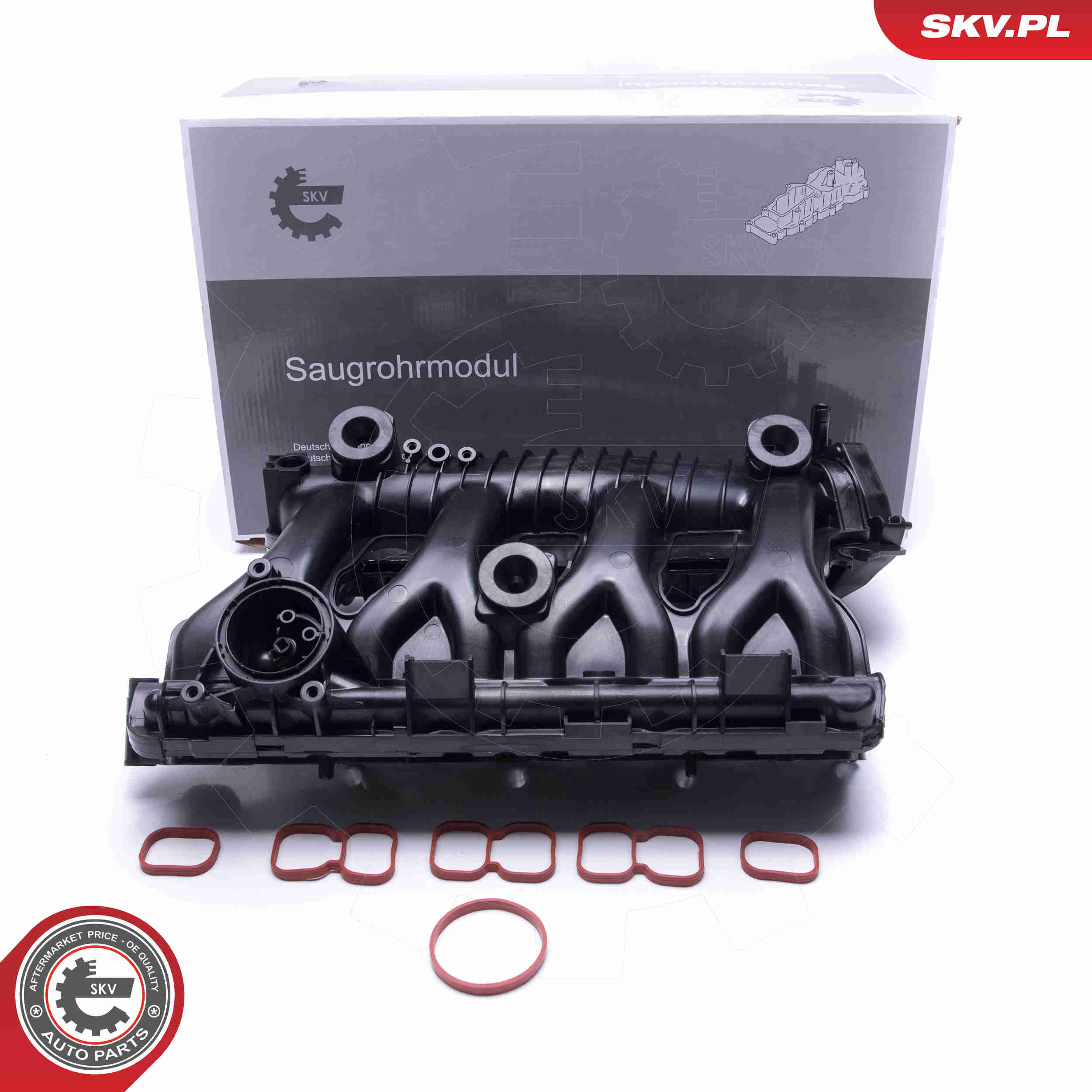 Intake Manifold Module - 49SKV025 ESEN SKV