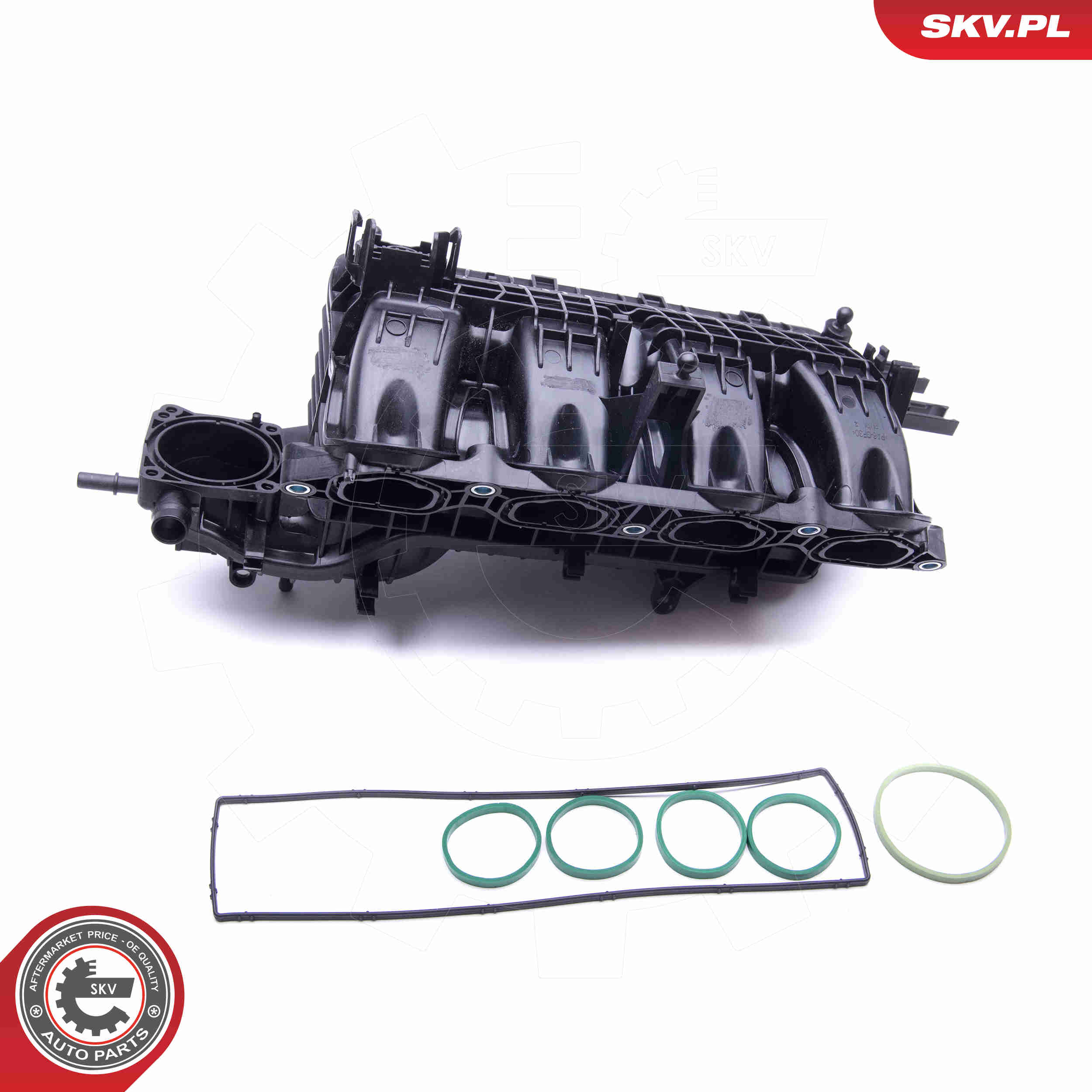 Intake Manifold Module - 49SKV026 ESEN SKV