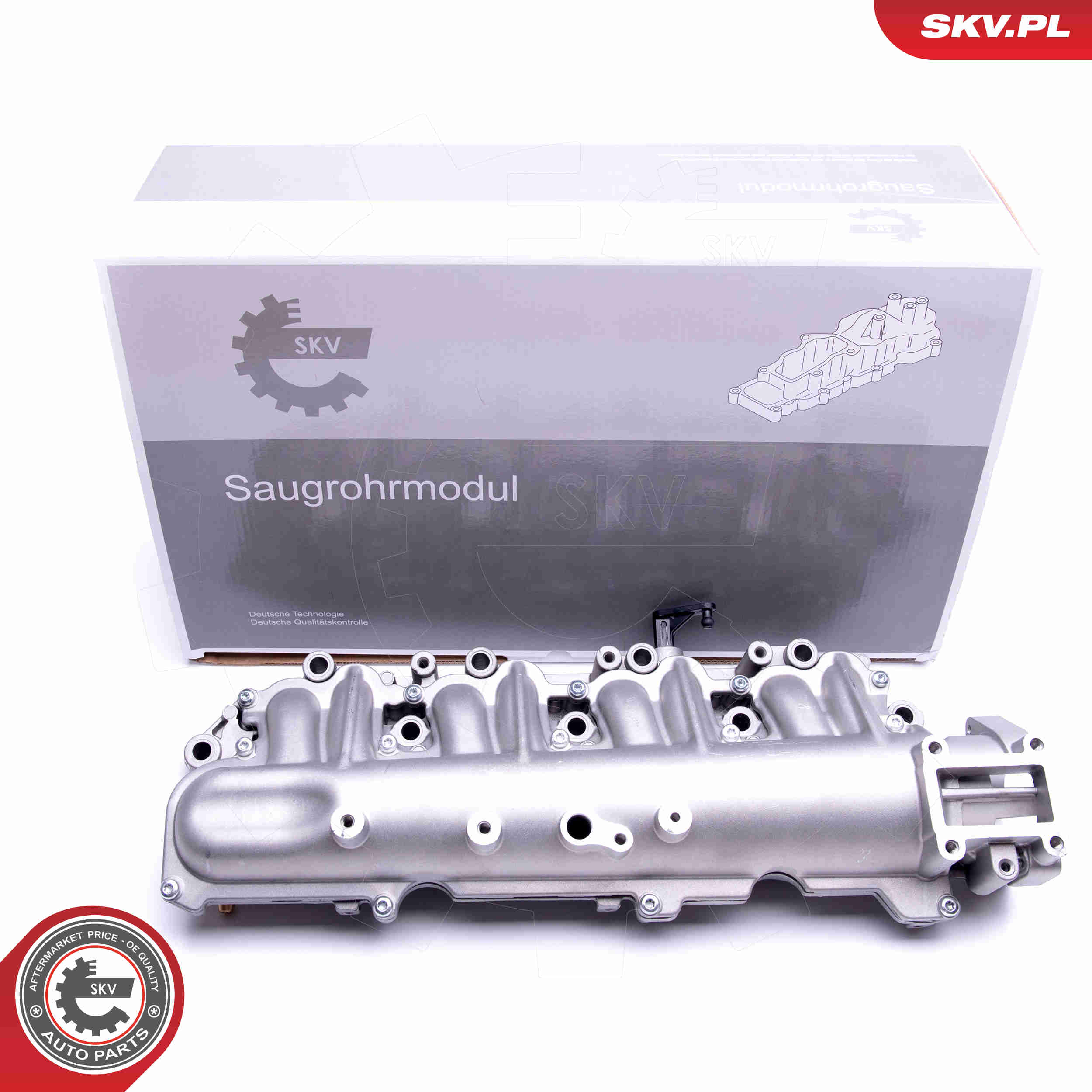 Intake Manifold Module - 49SKV029 ESEN SKV