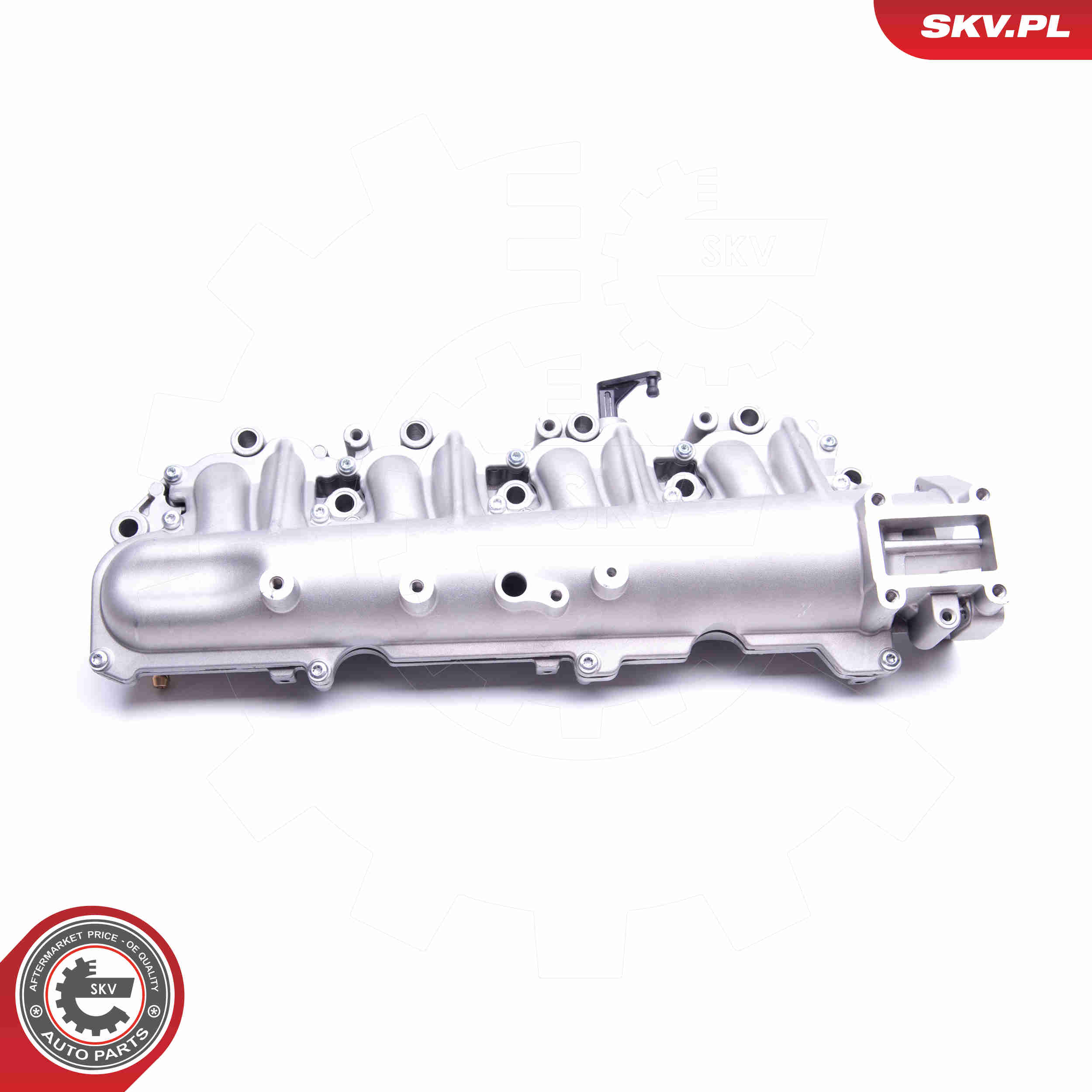 Intake Manifold Module - 49SKV029 ESEN SKV