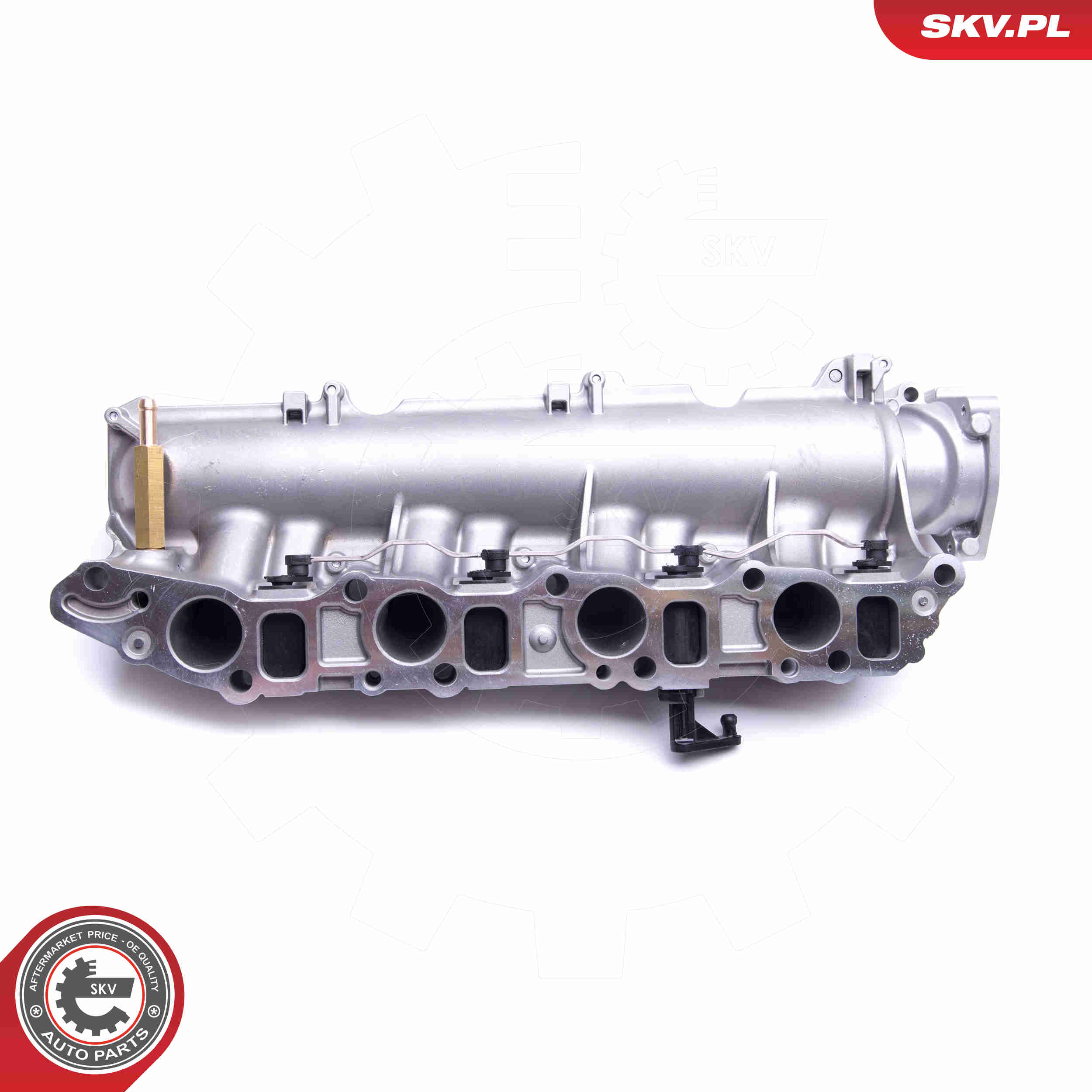 Intake Manifold Module - 49SKV029 ESEN SKV