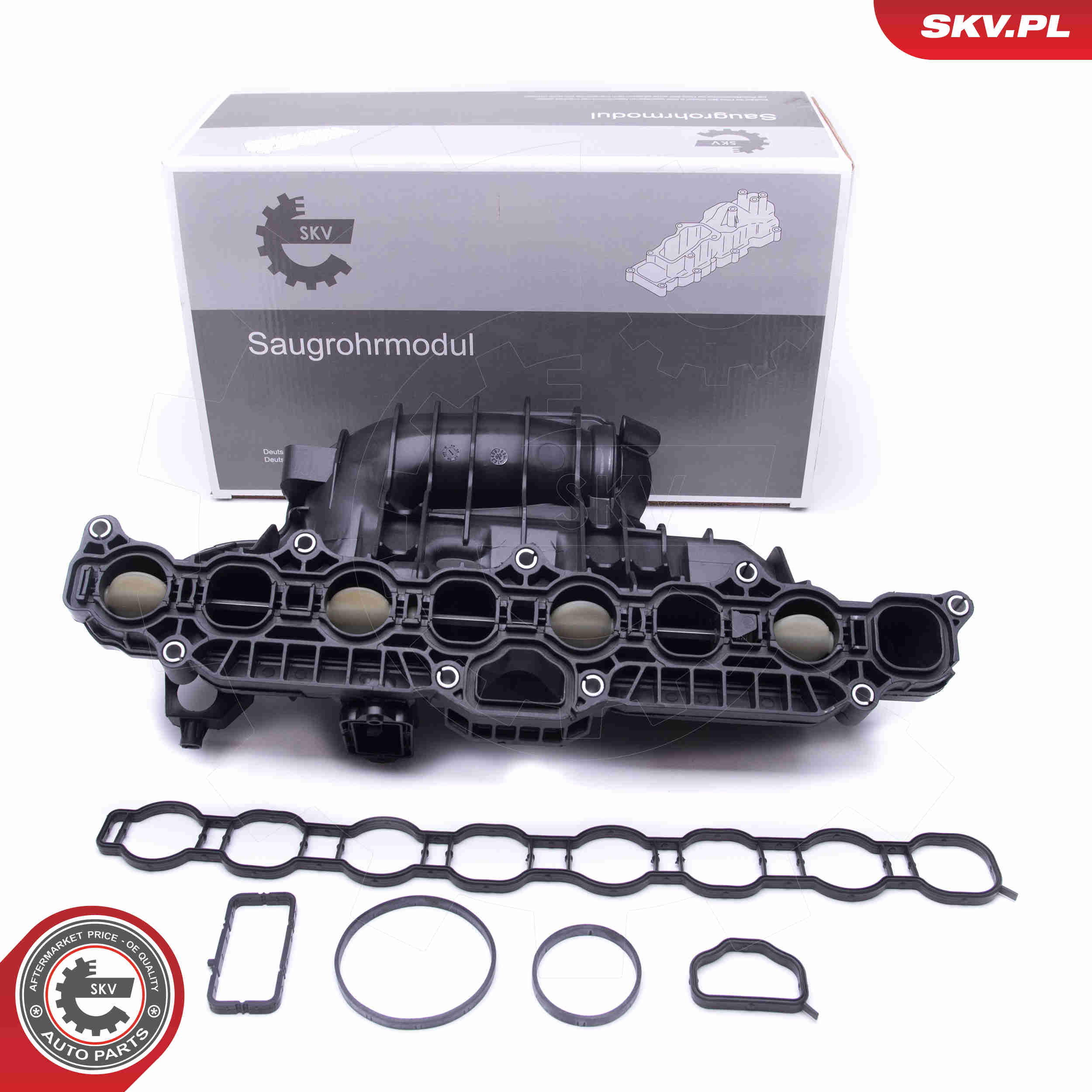 Intake Manifold Module - 49SKV030 ESEN SKV