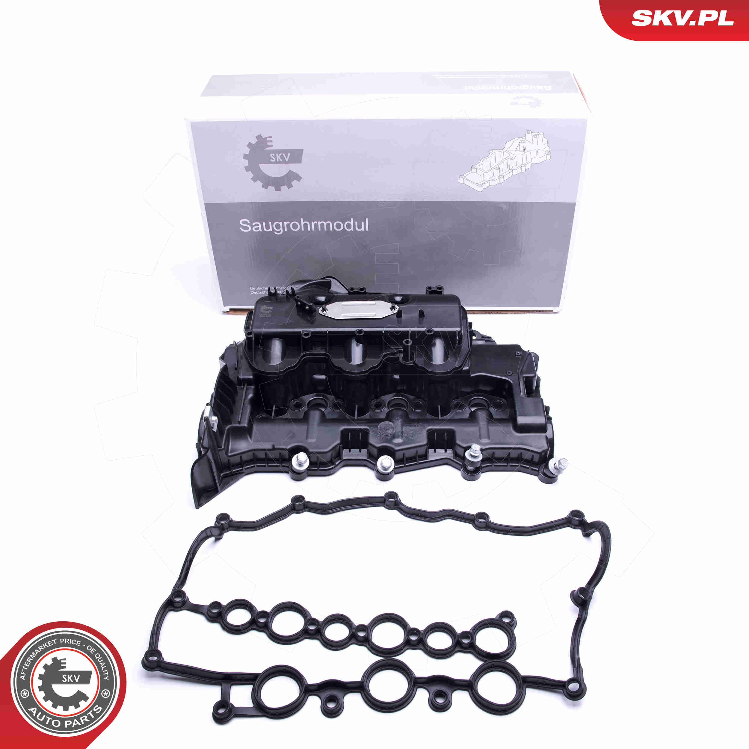 Intake Manifold Module - 49SKV031 ESEN SKV