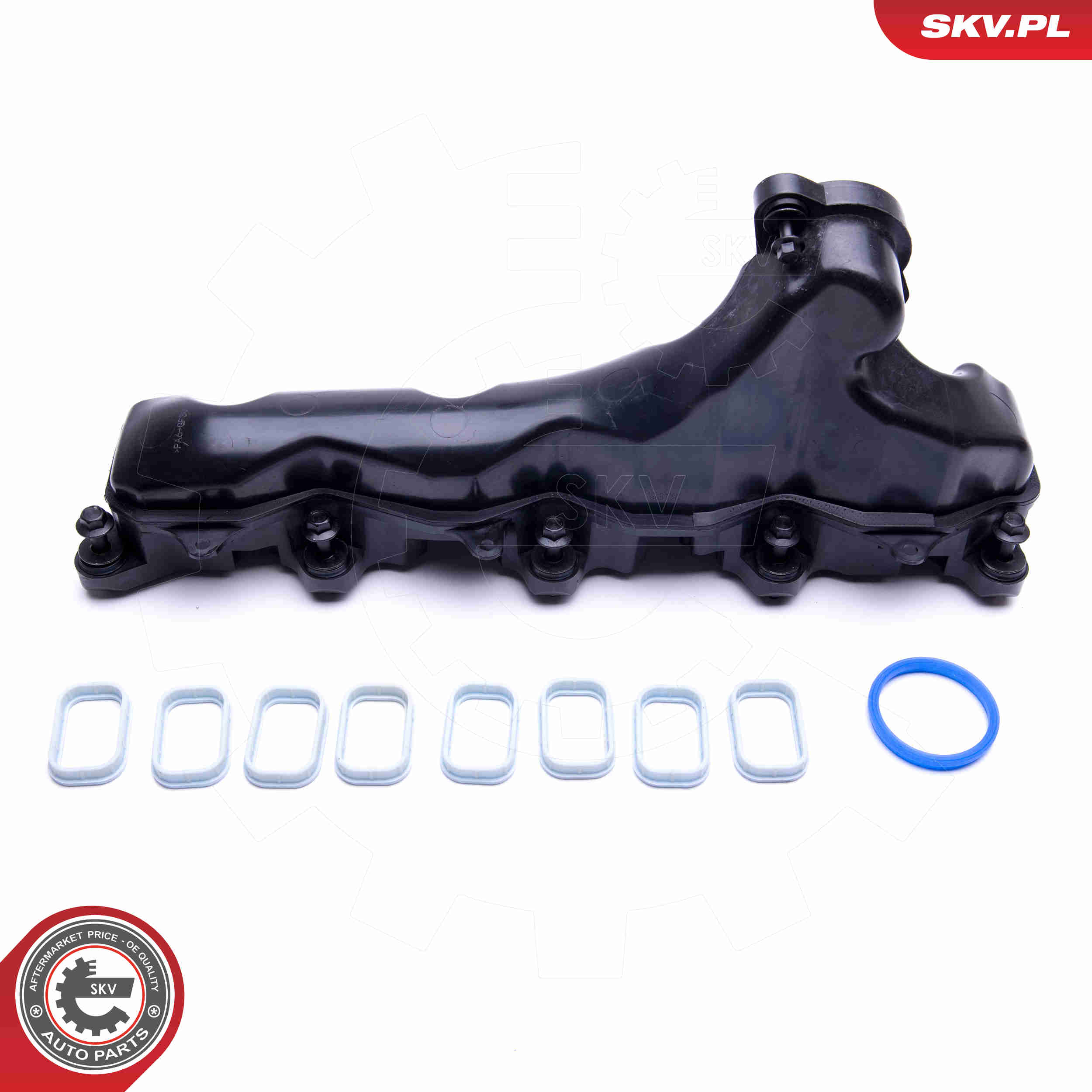 Intake Manifold Module - 49SKV032 ESEN SKV
