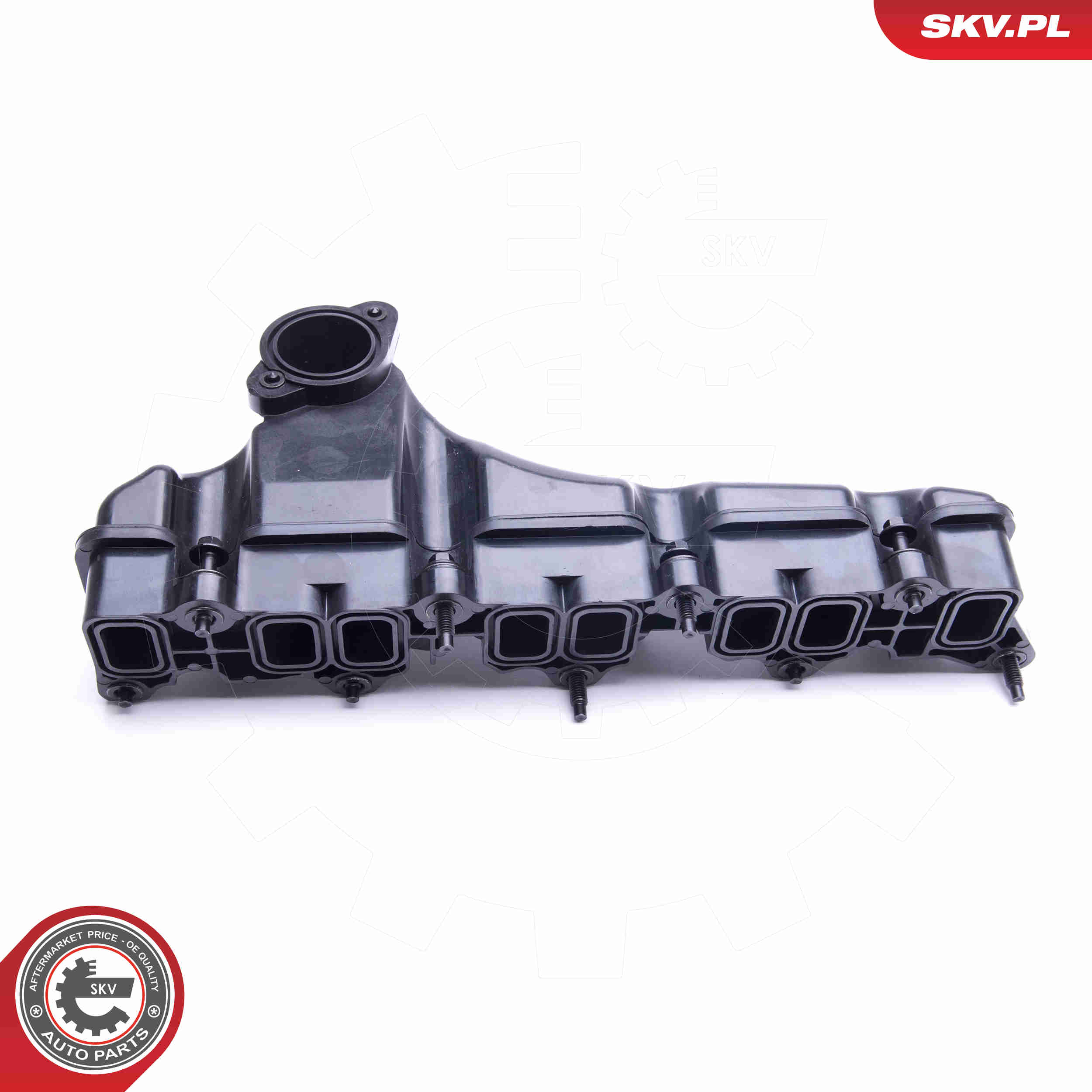 Intake Manifold Module - 49SKV032 ESEN SKV