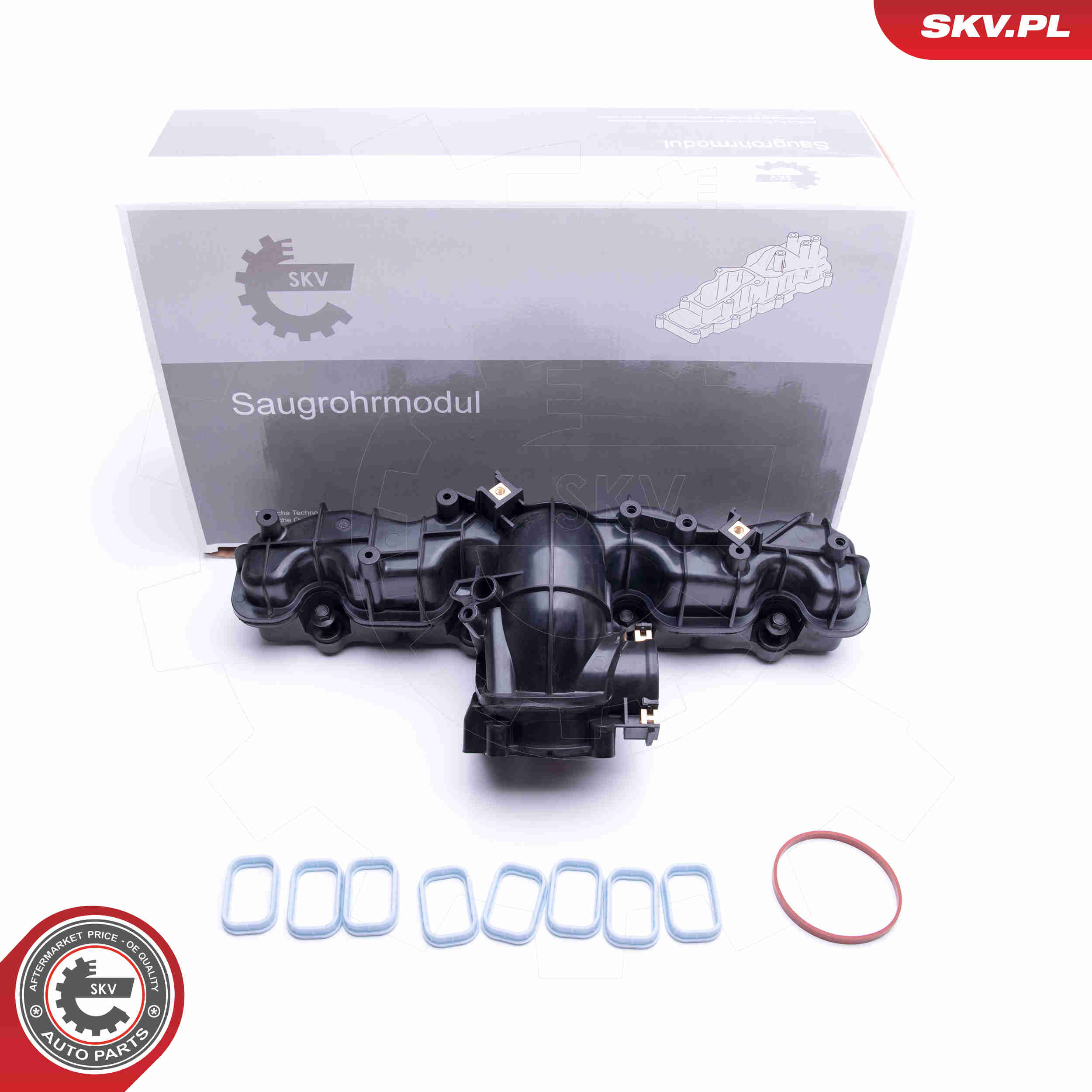 Intake Manifold Module - 49SKV033 ESEN SKV