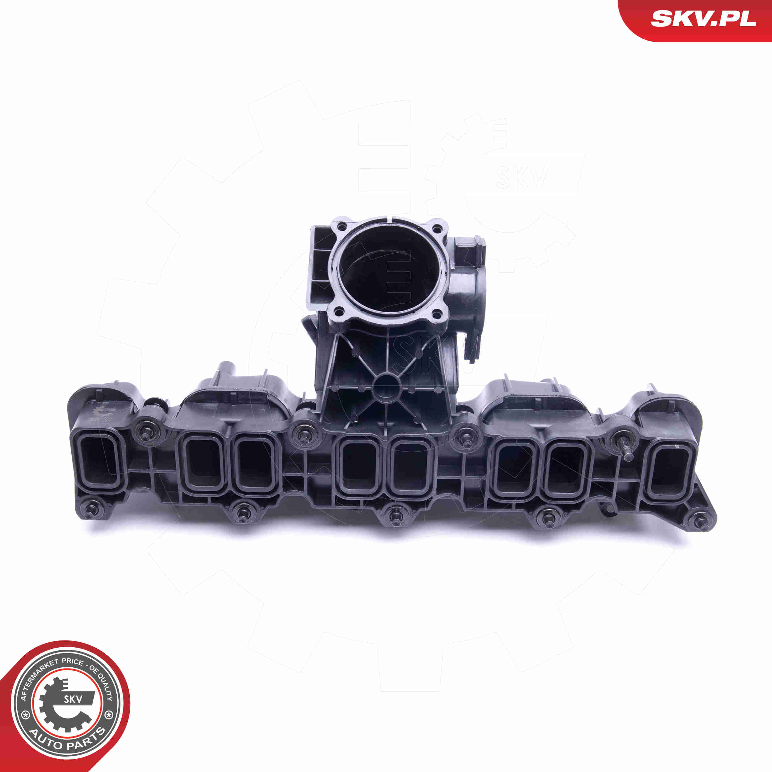 Intake Manifold Module - 49SKV033 ESEN SKV