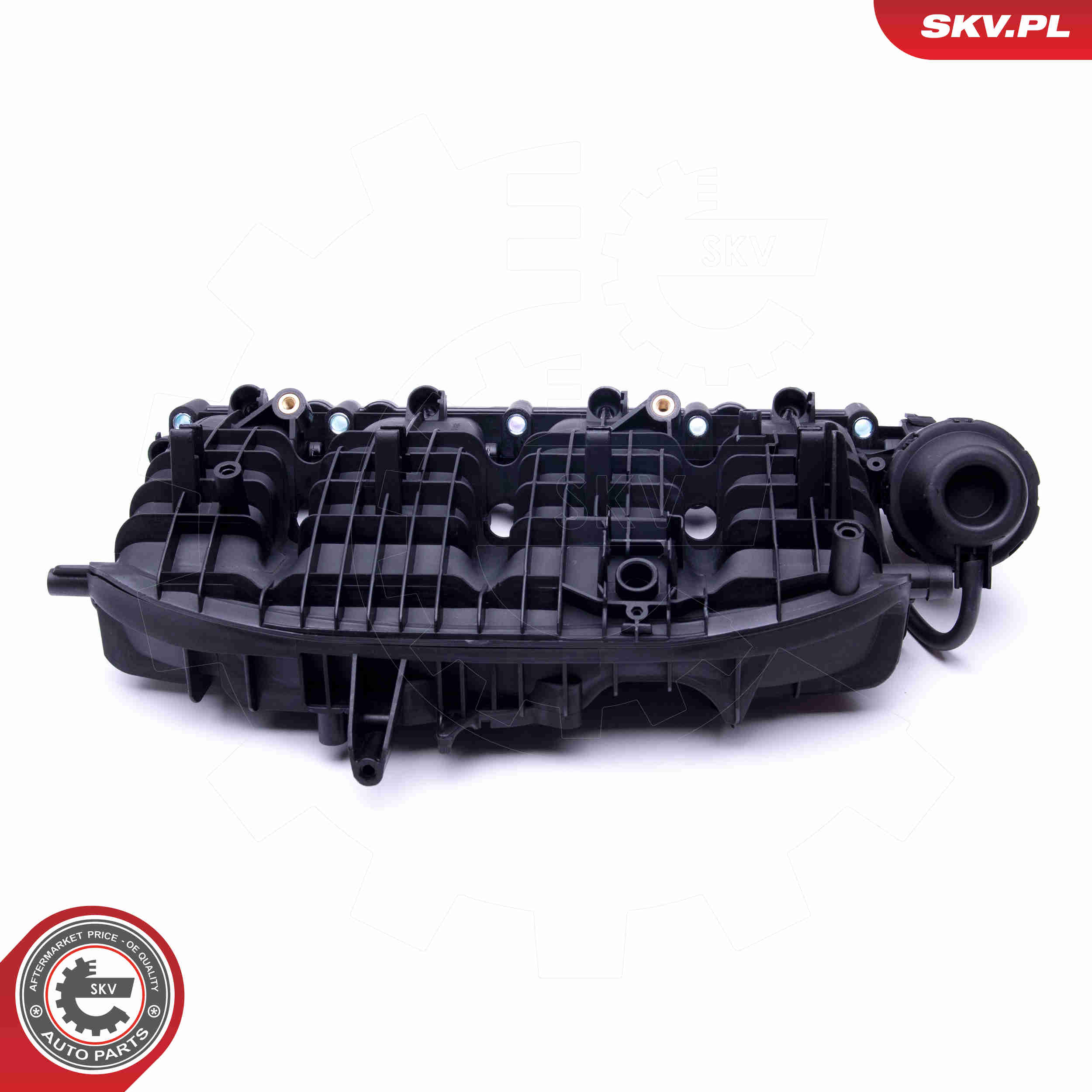 Intake Manifold Module - 49SKV035 ESEN SKV