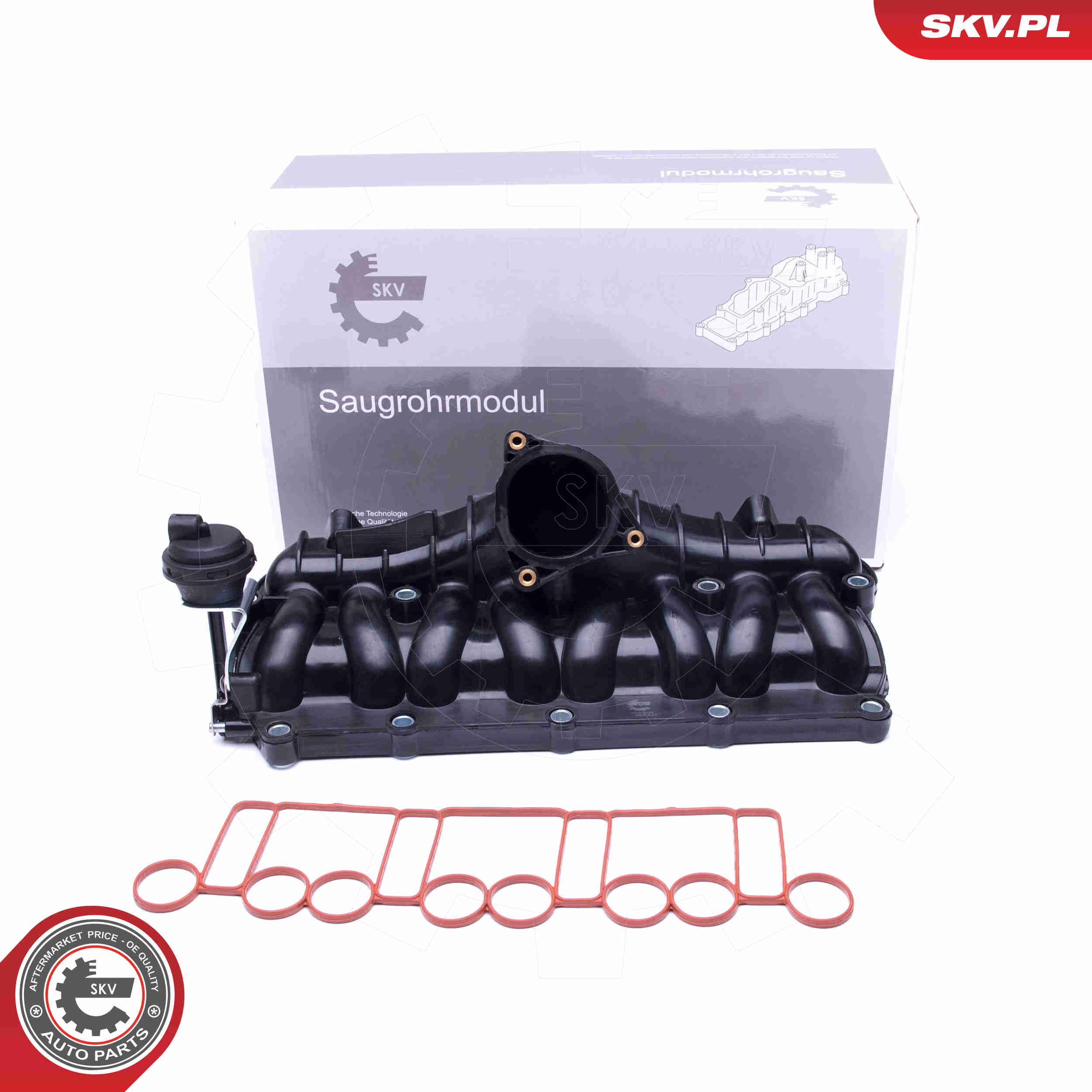 Intake Manifold Module - 49SKV036 ESEN SKV