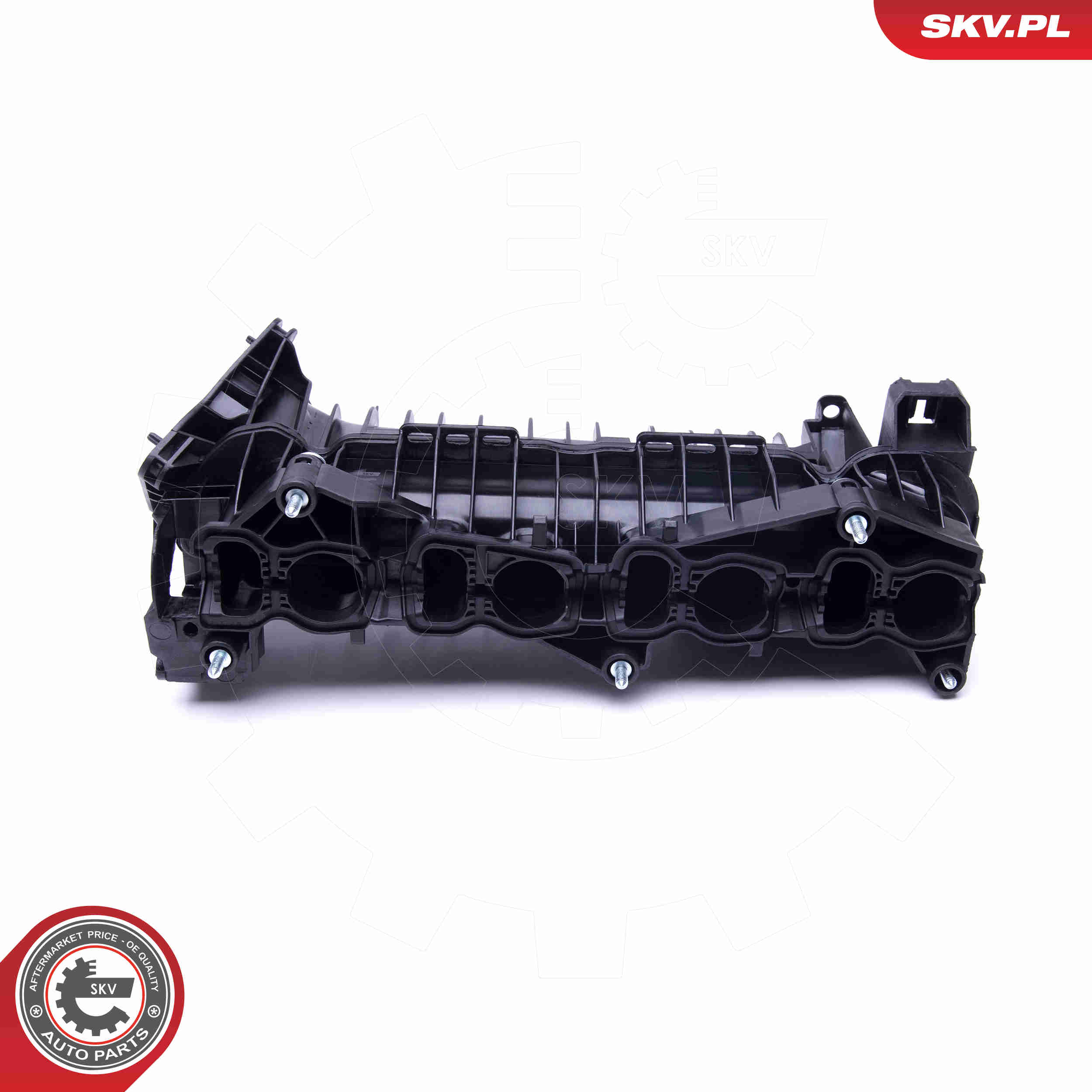 Intake Manifold Module - 49SKV037 ESEN SKV