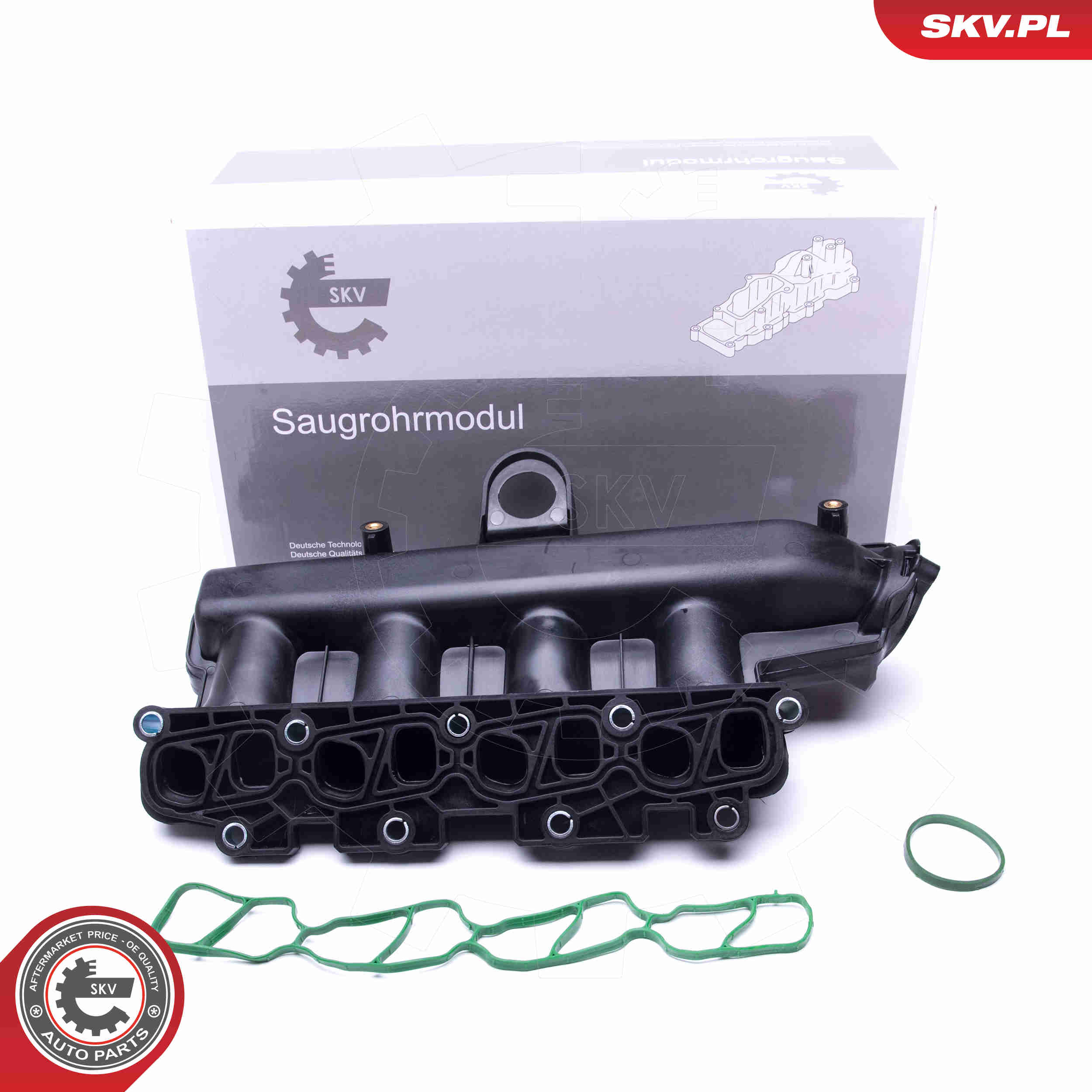 Intake Manifold Module - 49SKV038 ESEN SKV