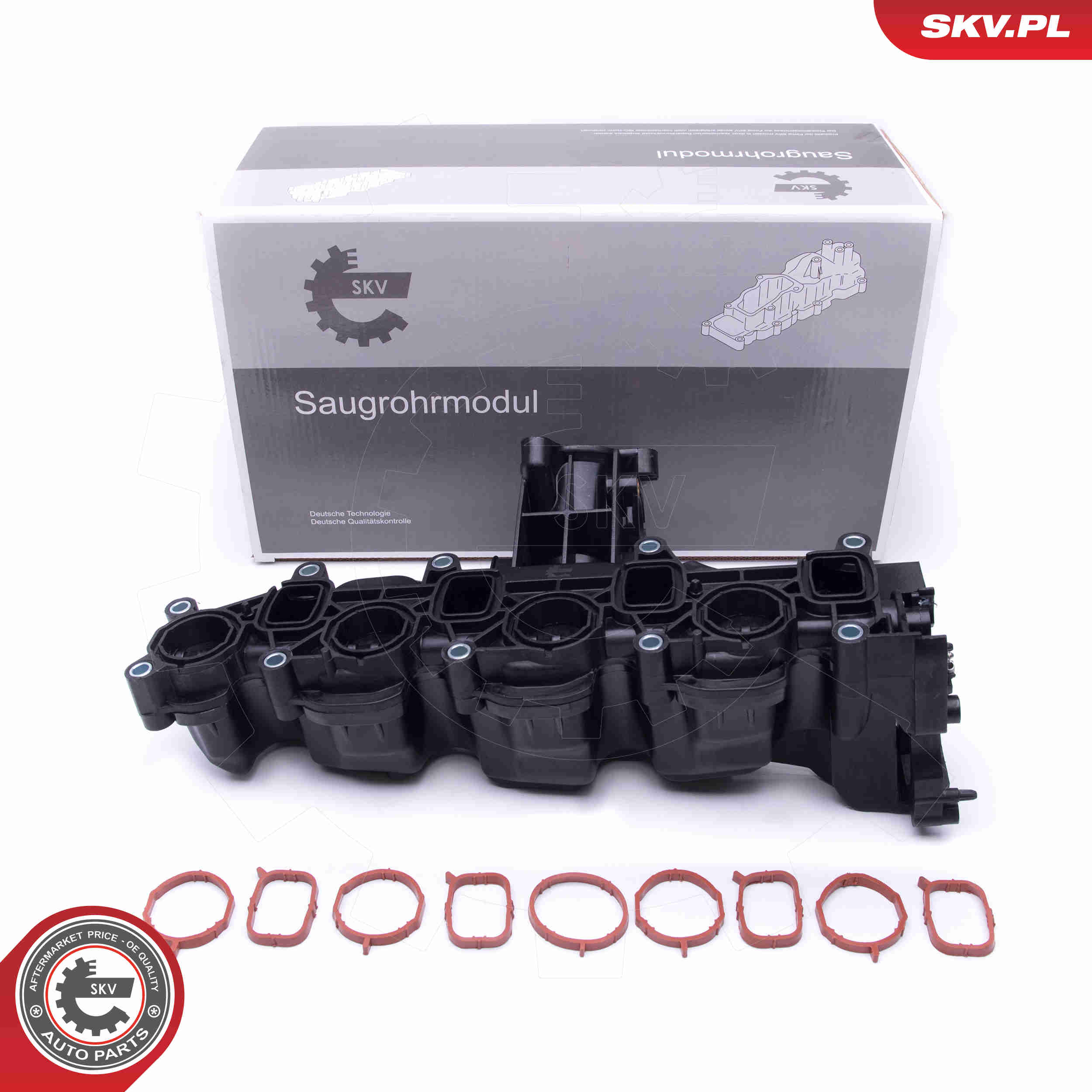 Intake Manifold Module - 49SKV040 ESEN SKV