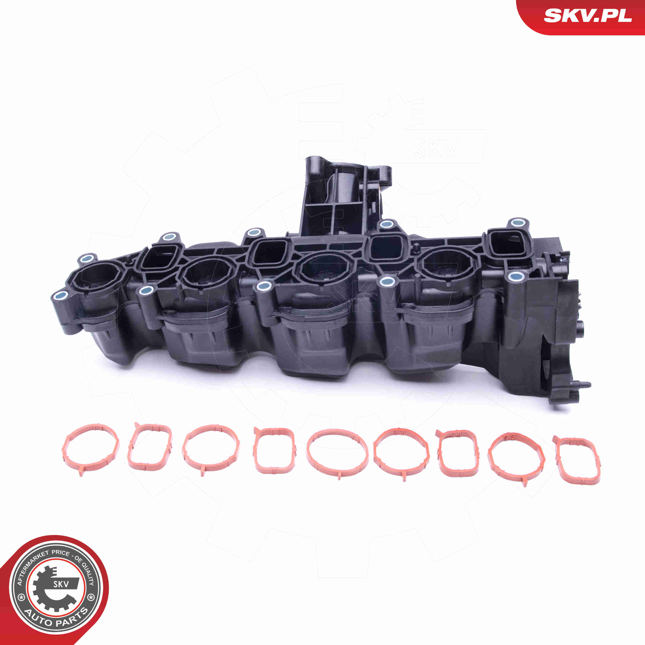 Intake Manifold Module - 49SKV040 ESEN SKV