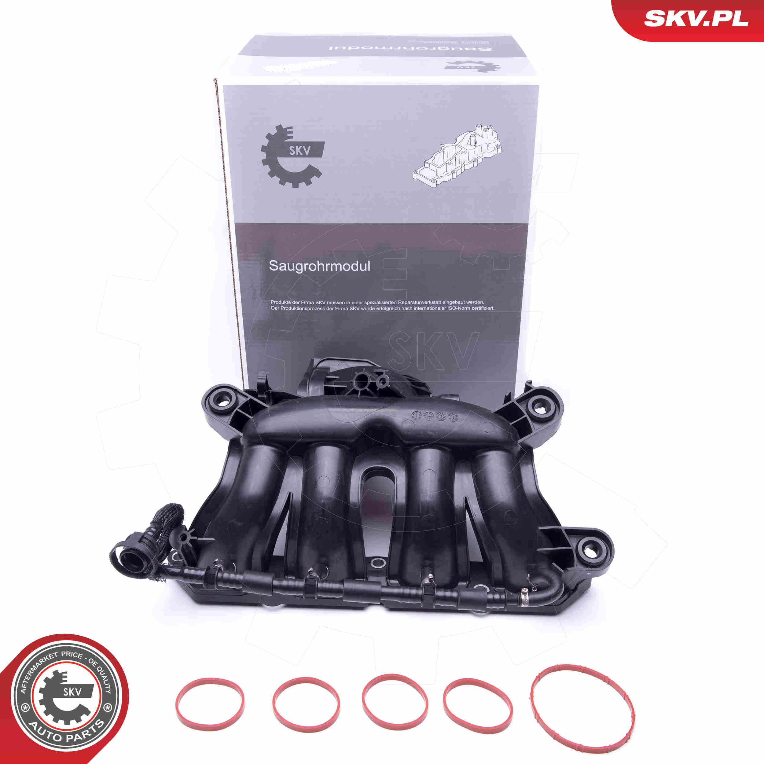 Intake Manifold Module - 49SKV045 ESEN SKV