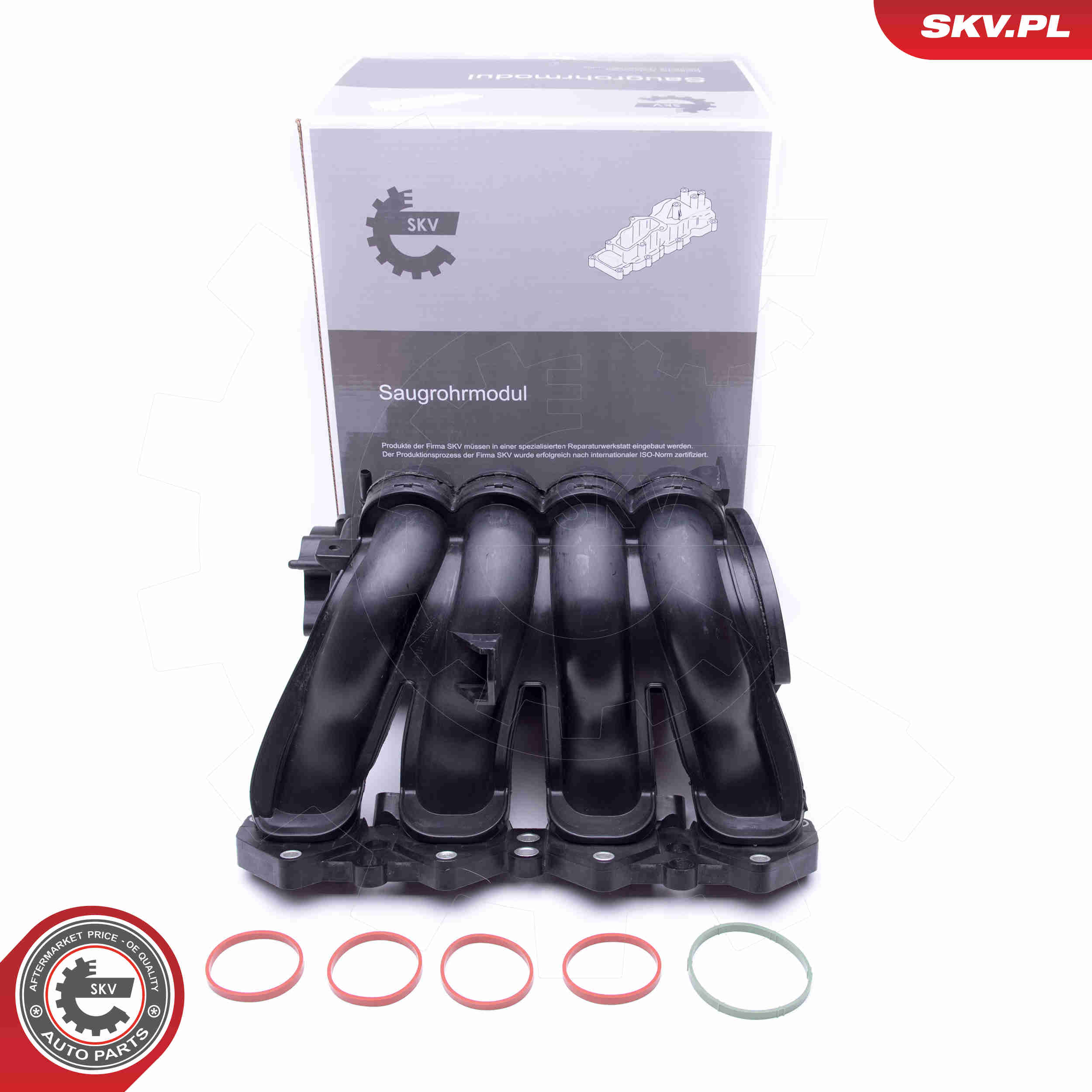 Intake Manifold Module - 49SKV046 ESEN SKV