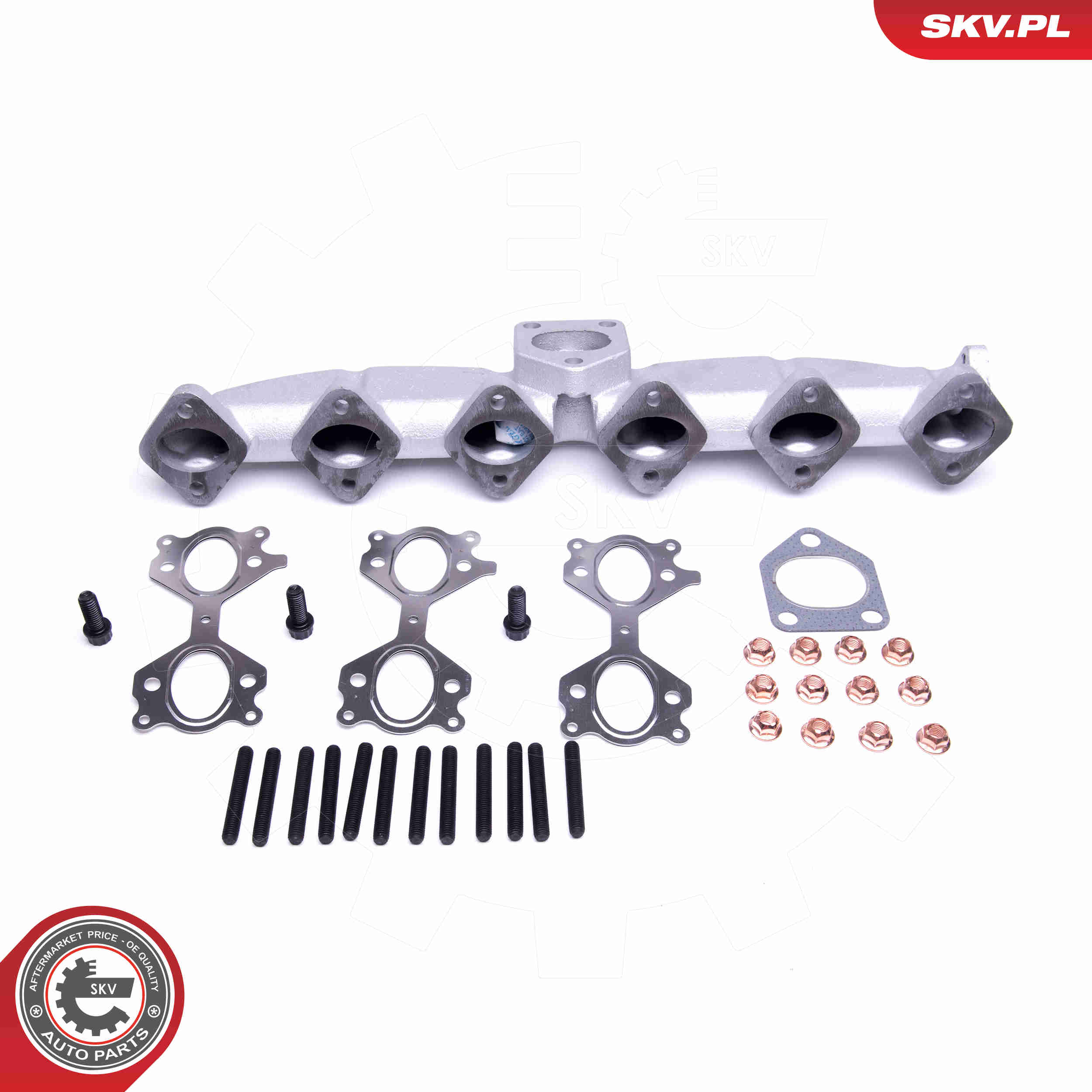 Manifold, exhaust system - 49SKV053 ESEN SKV