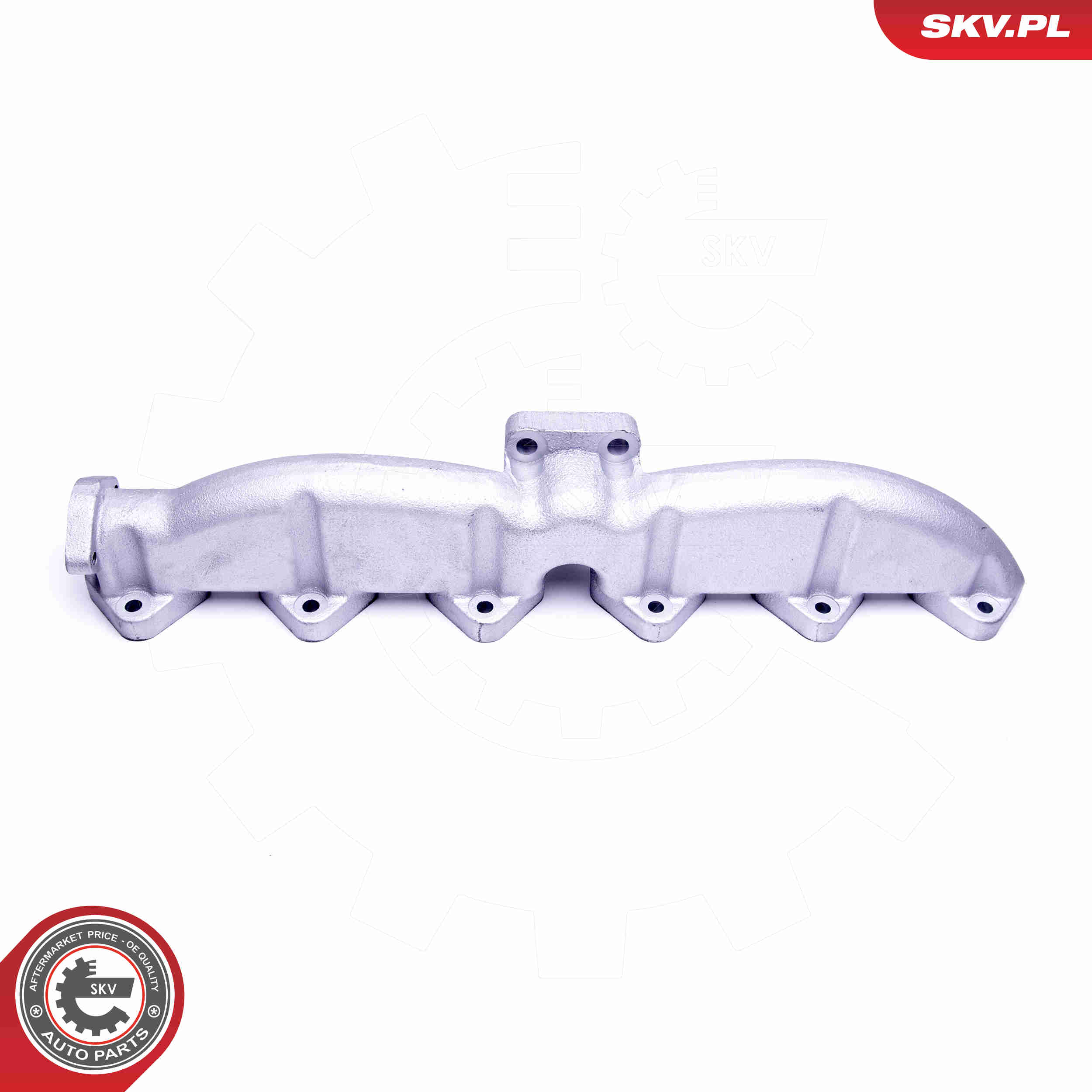 Manifold, exhaust system - 49SKV053 ESEN SKV