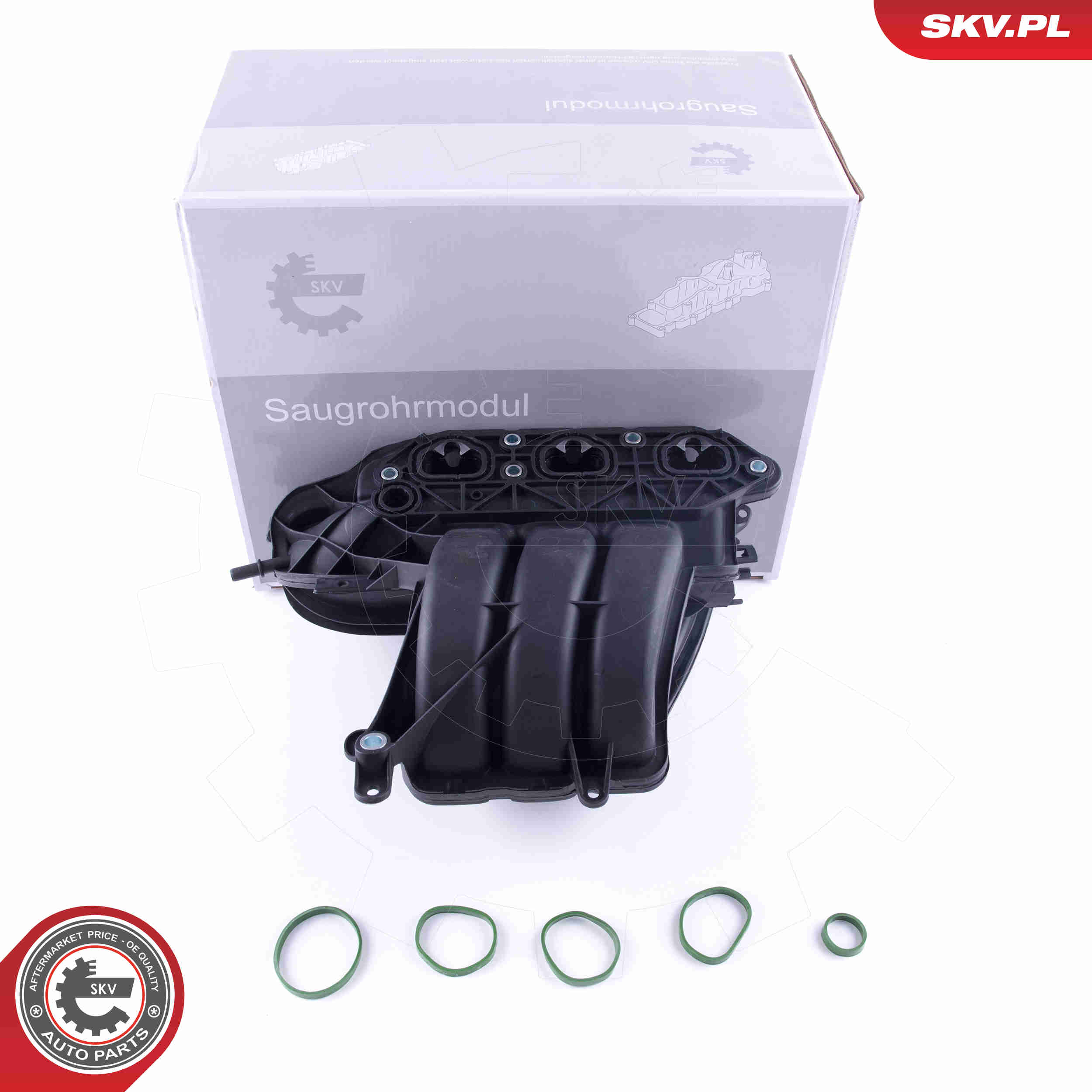 Intake Manifold Module - 49SKV056 ESEN SKV