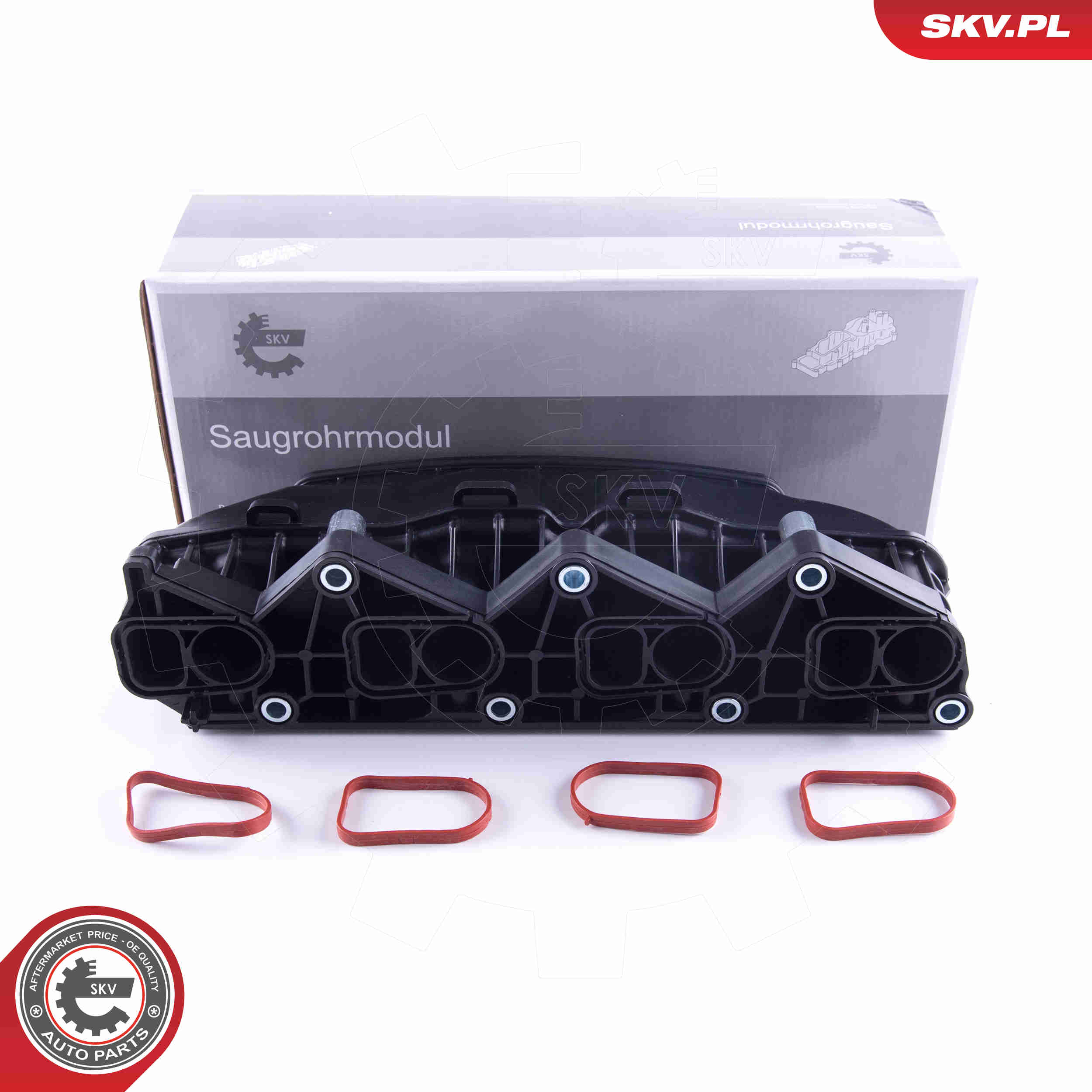Модуль впускной трубы - 49SKV057 ESEN SKV