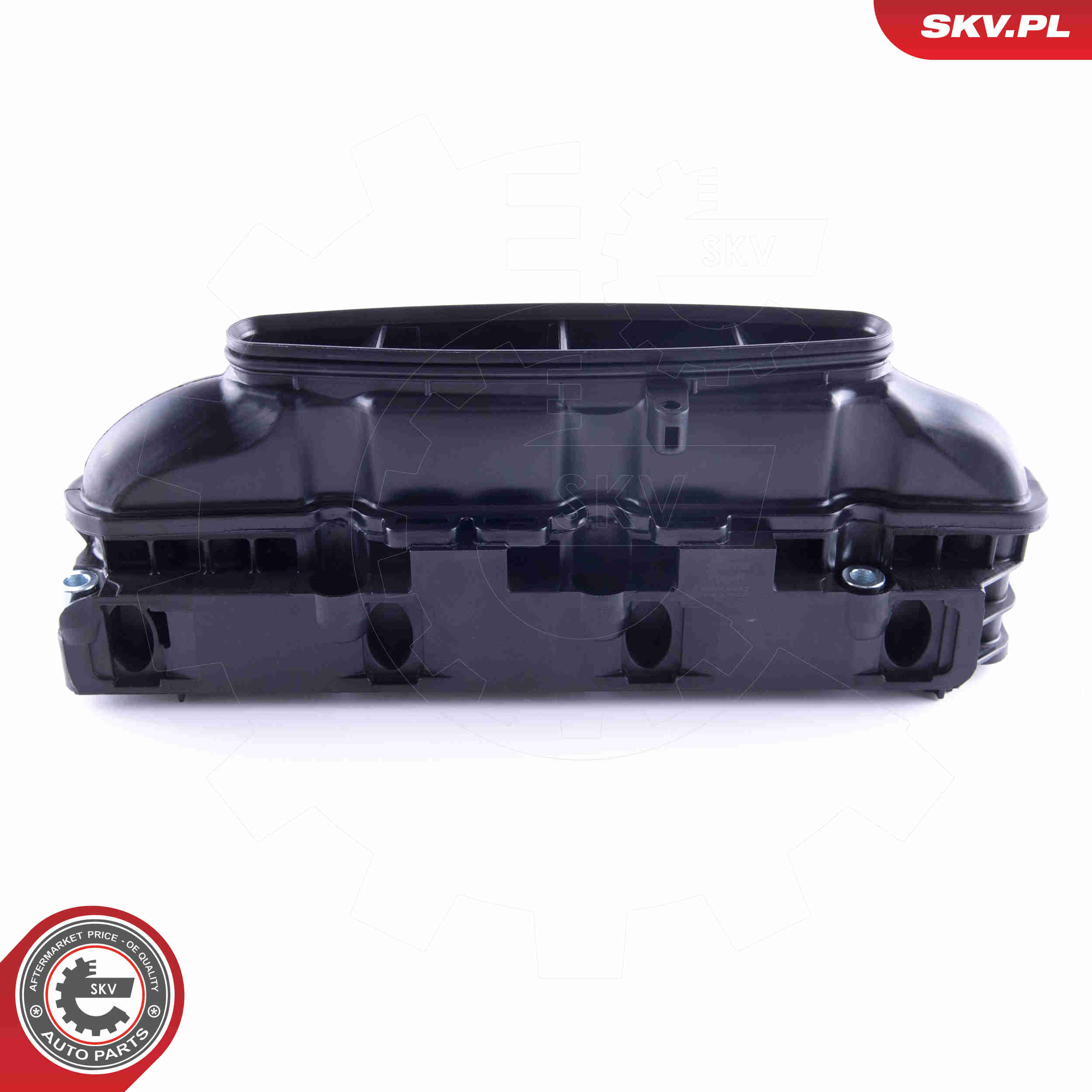 Intake Manifold Module - 49SKV057 ESEN SKV