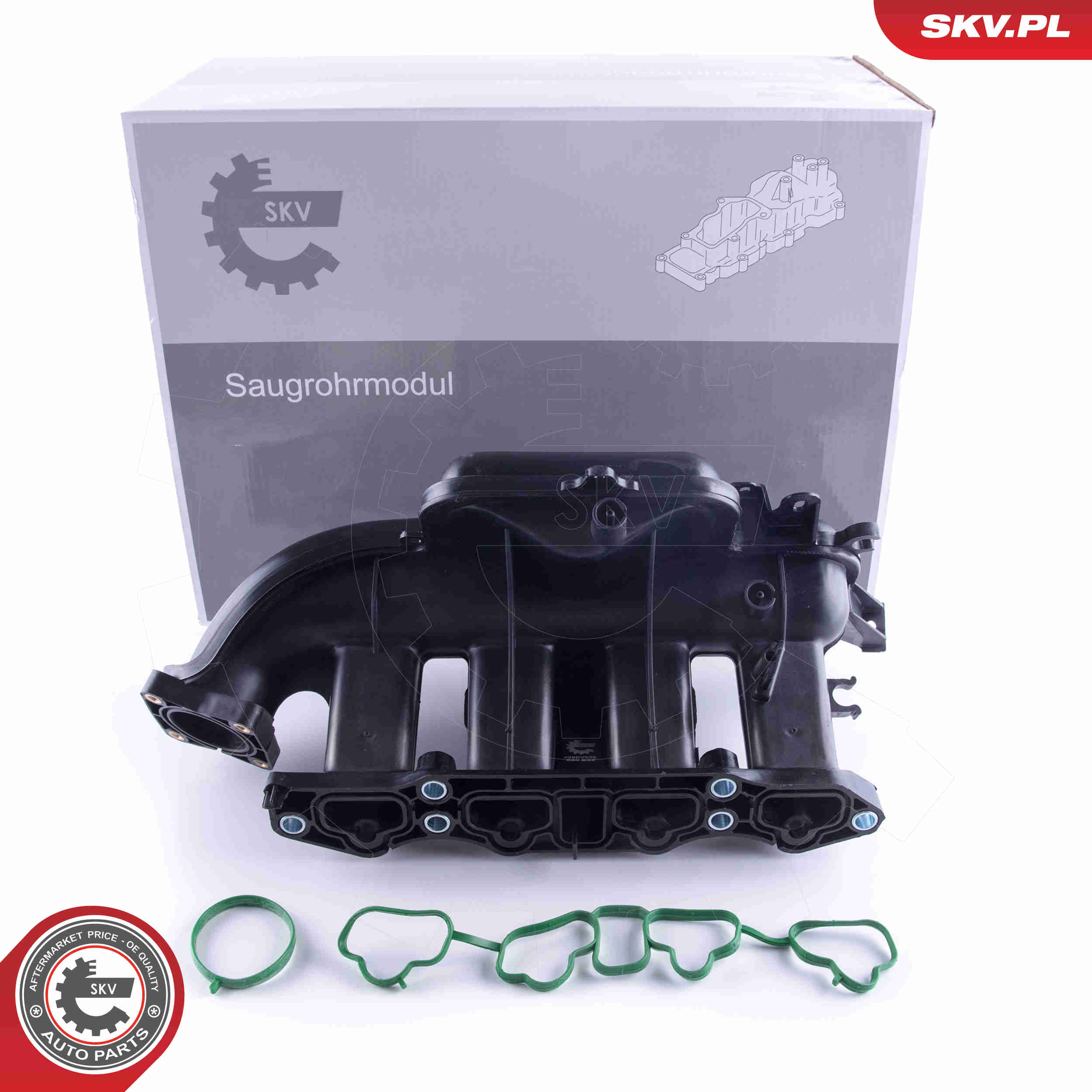 Intake Manifold Module - 49SKV058 ESEN SKV