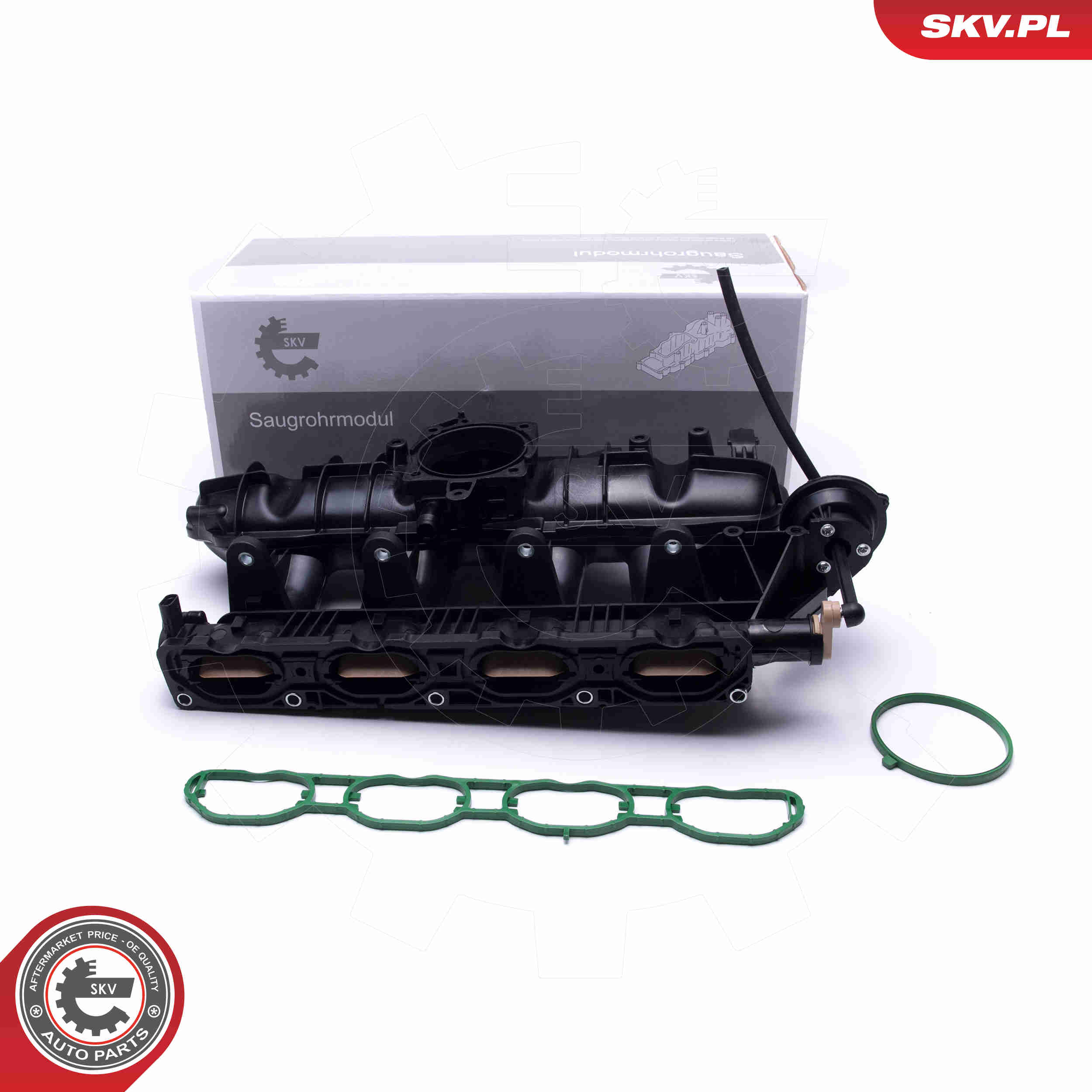 Intake Manifold Module - 49SKV059 ESEN SKV