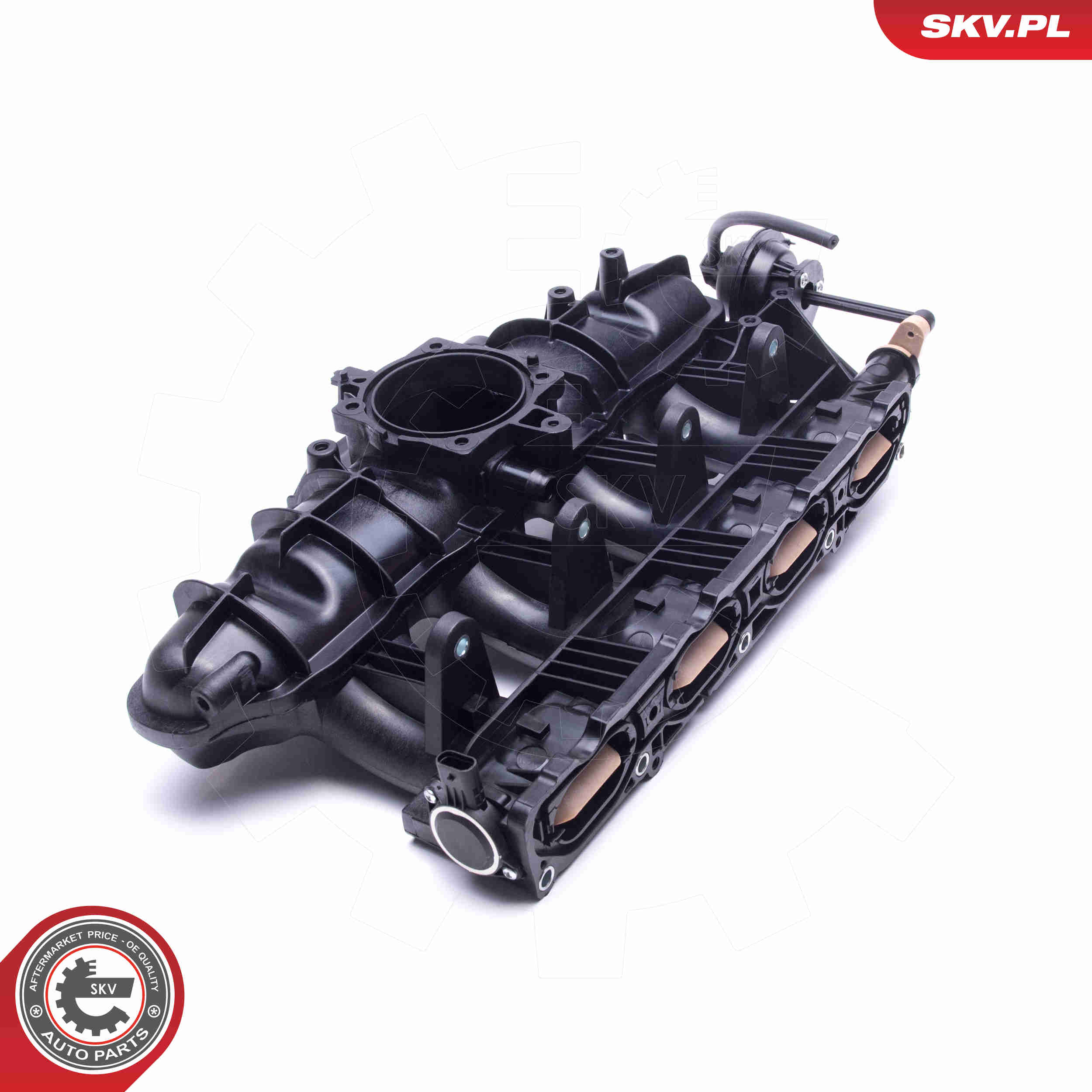 Intake Manifold Module - 49SKV060 ESEN SKV