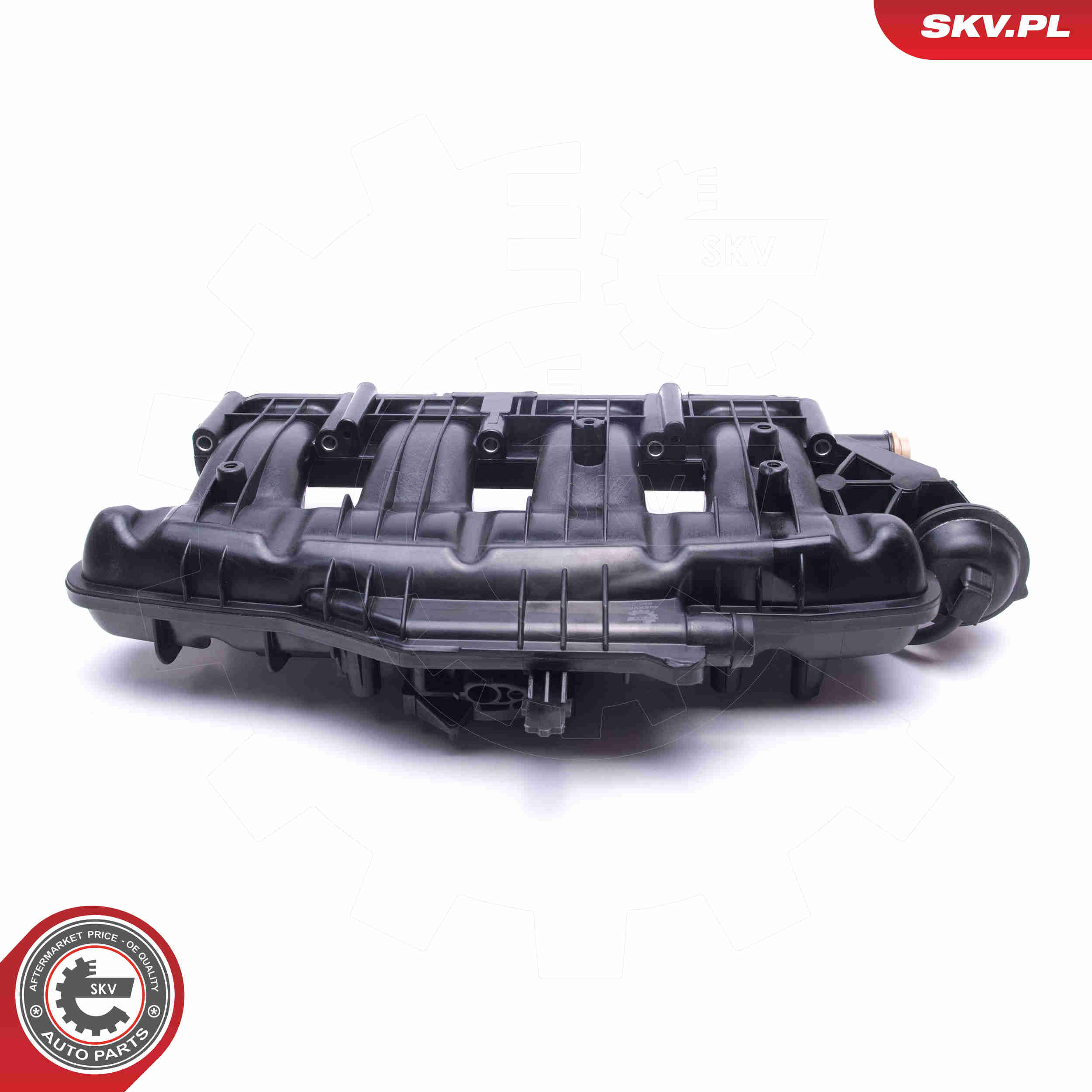 Intake Manifold Module - 49SKV060 ESEN SKV
