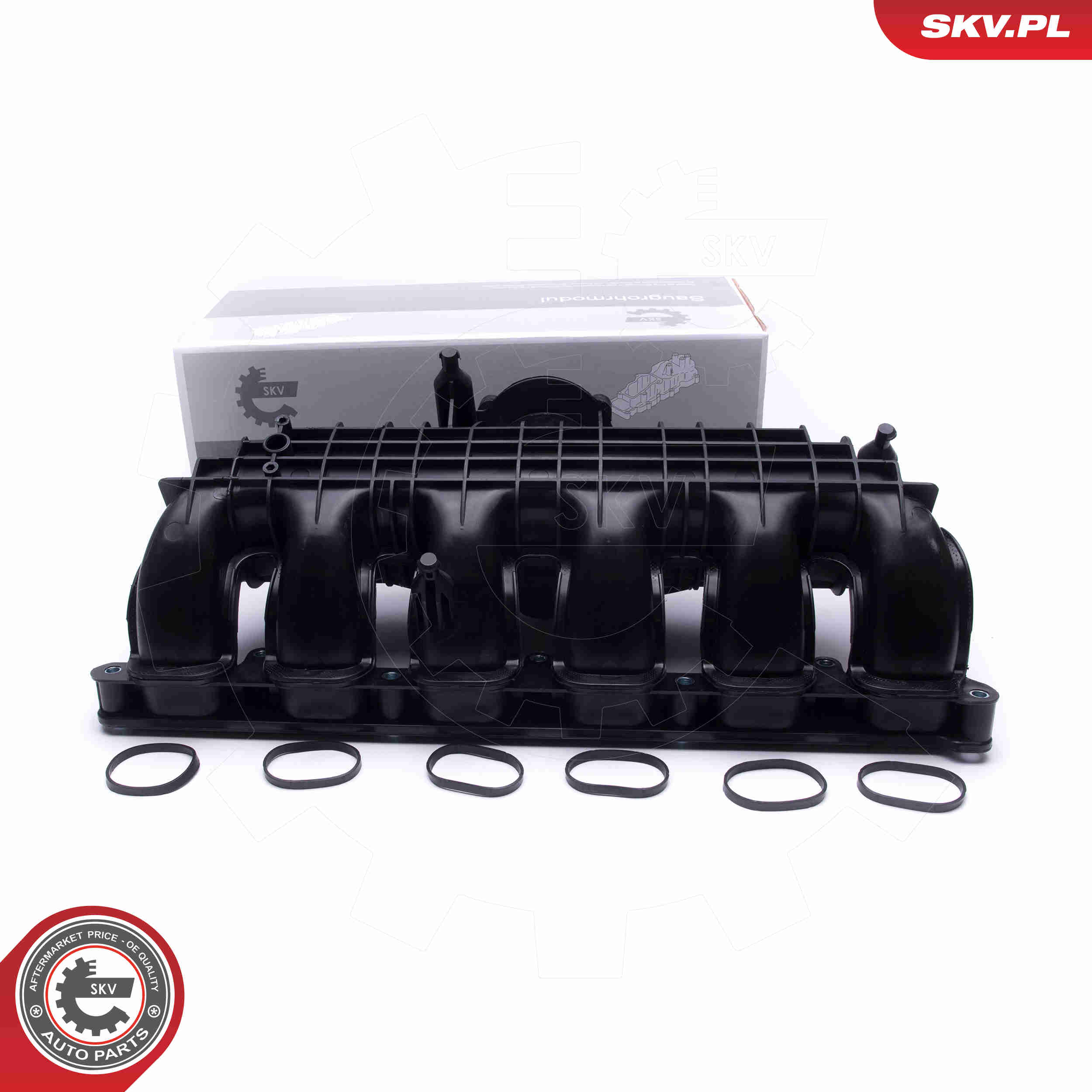 Intake Manifold Module - 49SKV064 ESEN SKV